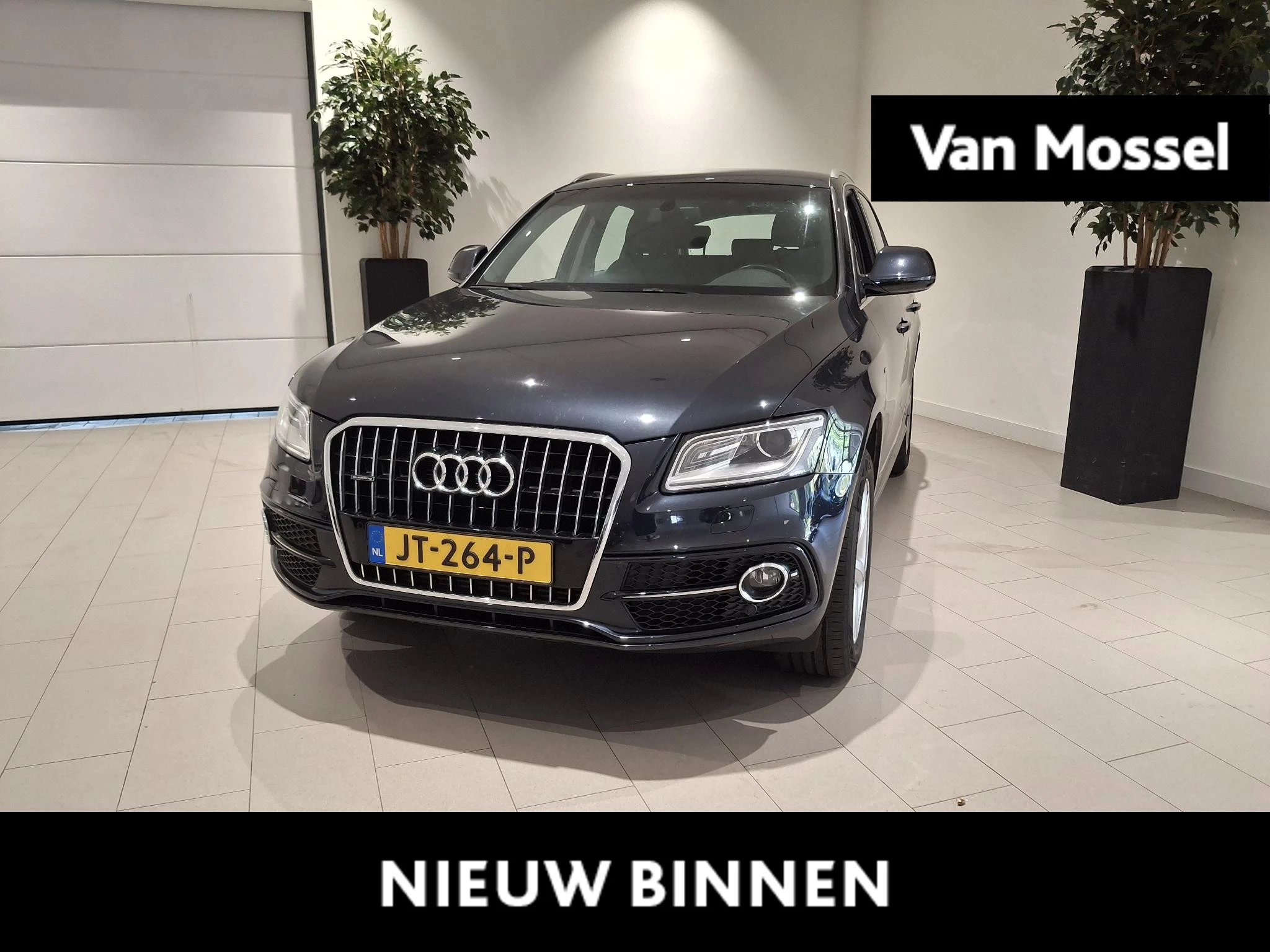 Audi-Q5-image-0