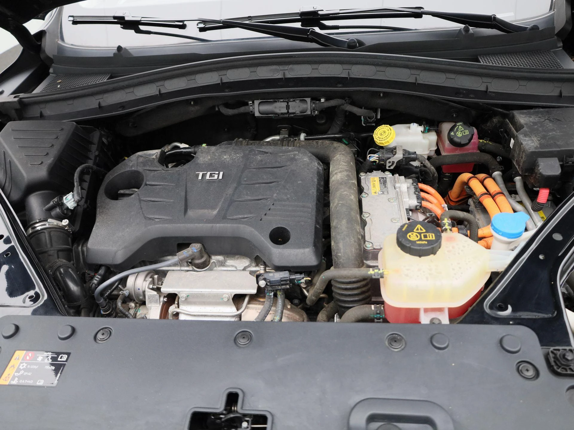 MG-EHS-image-44
