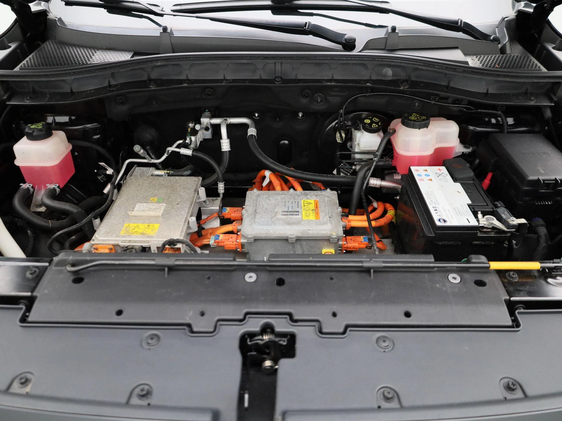 MG-ZS EV-image-32
