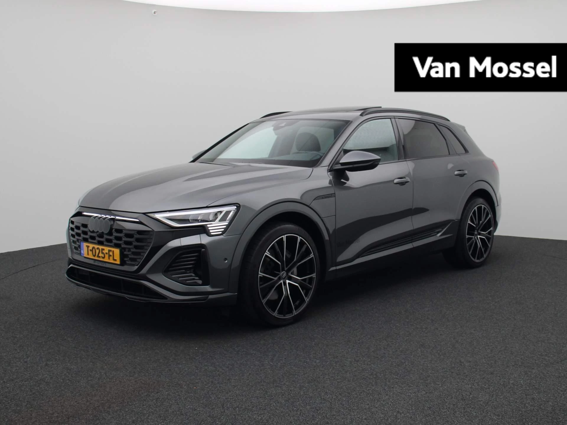 Audi-Q8 e-tron-image-0