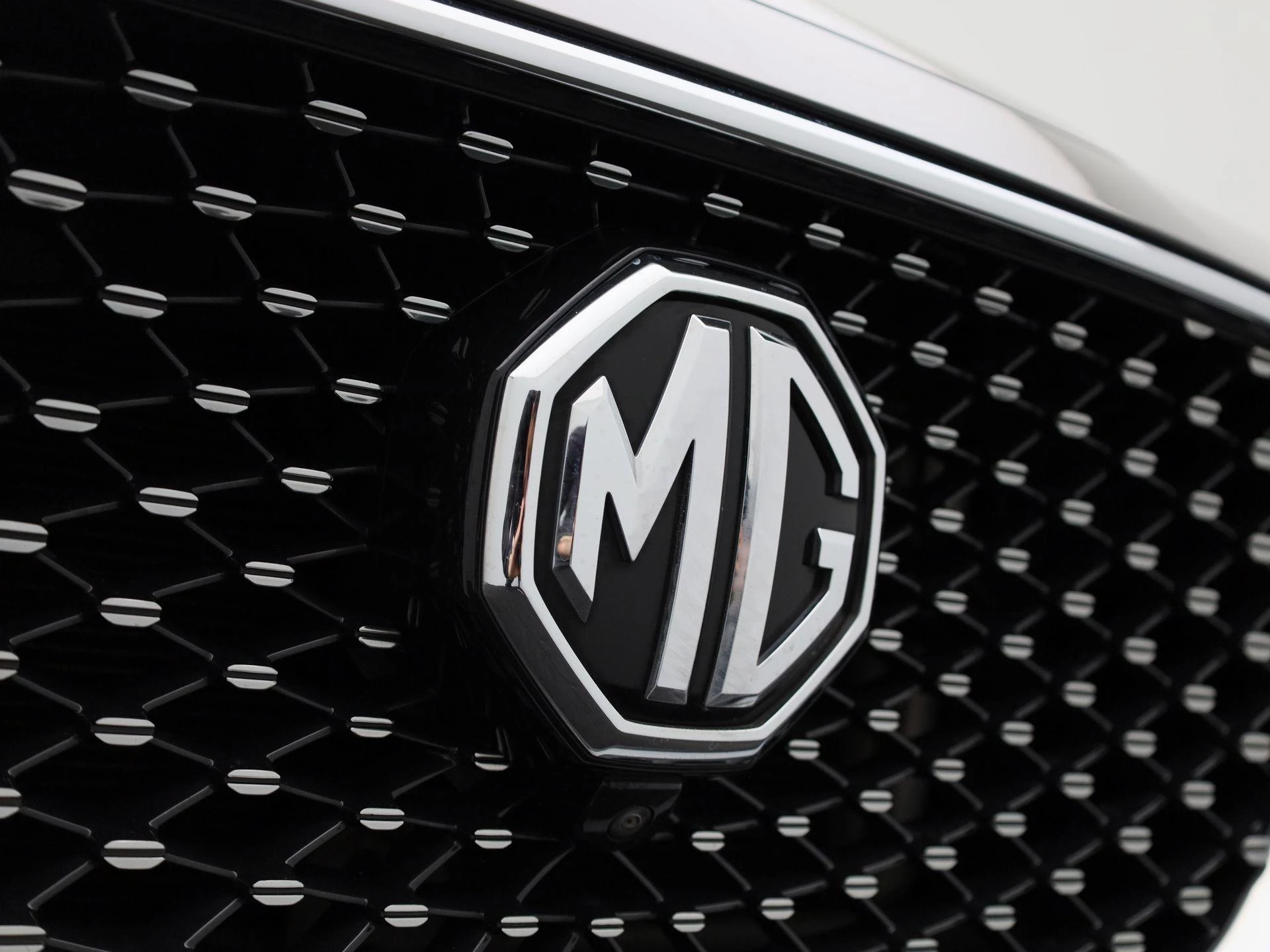 MG-EHS-image-42