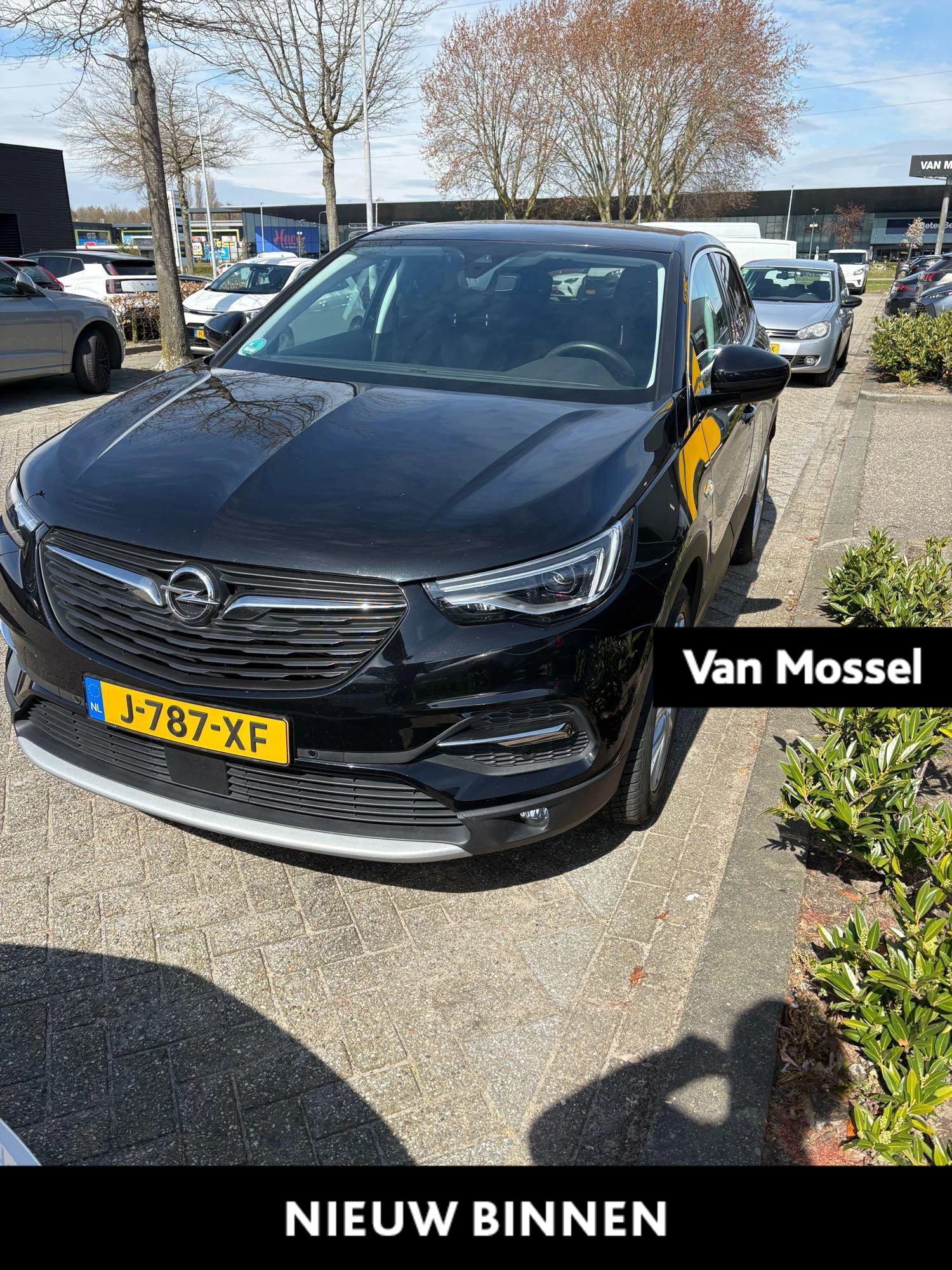 Opel-Grandland X-image-0
