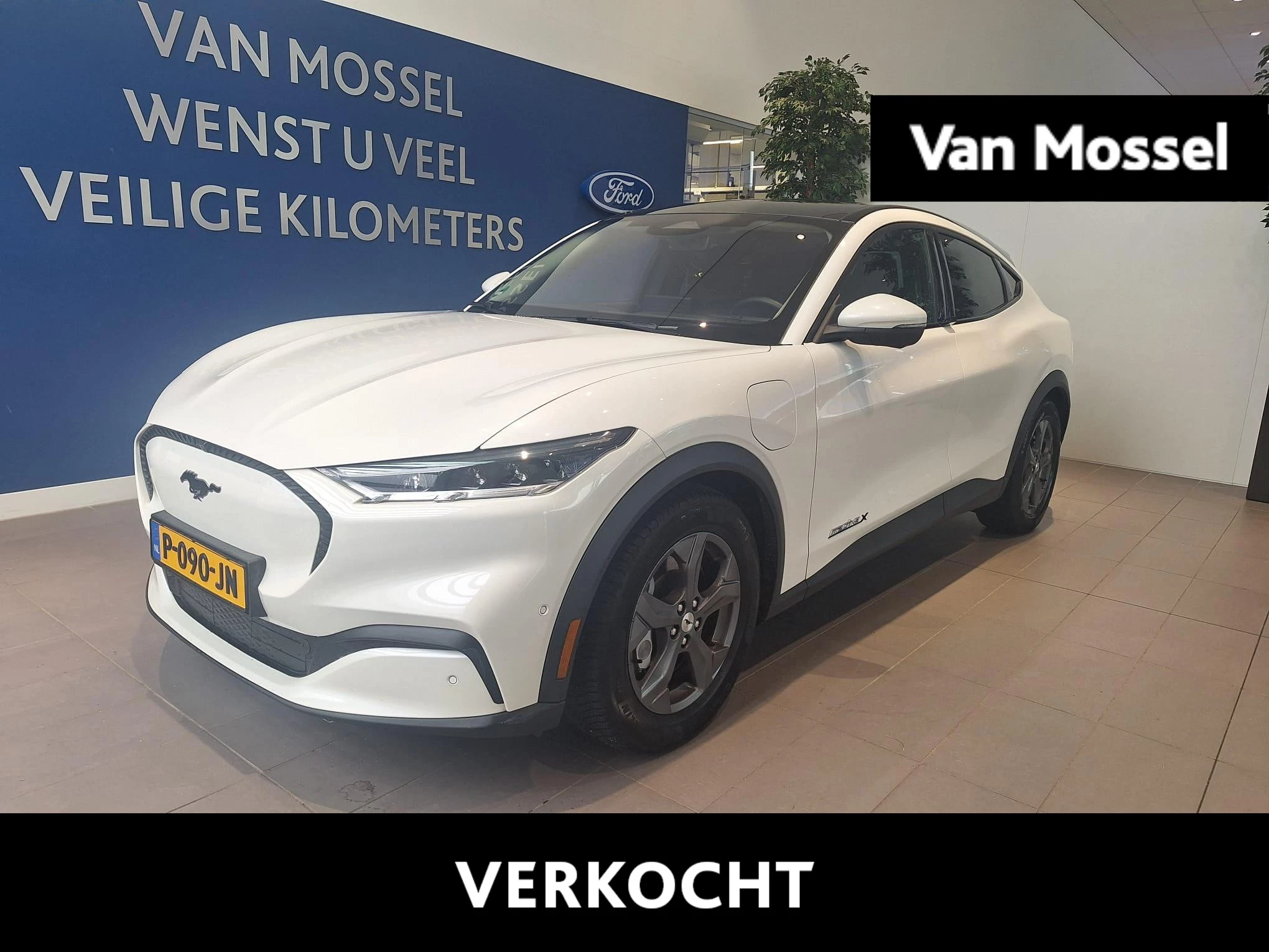 Ford-Mustang Mach-E-image-0