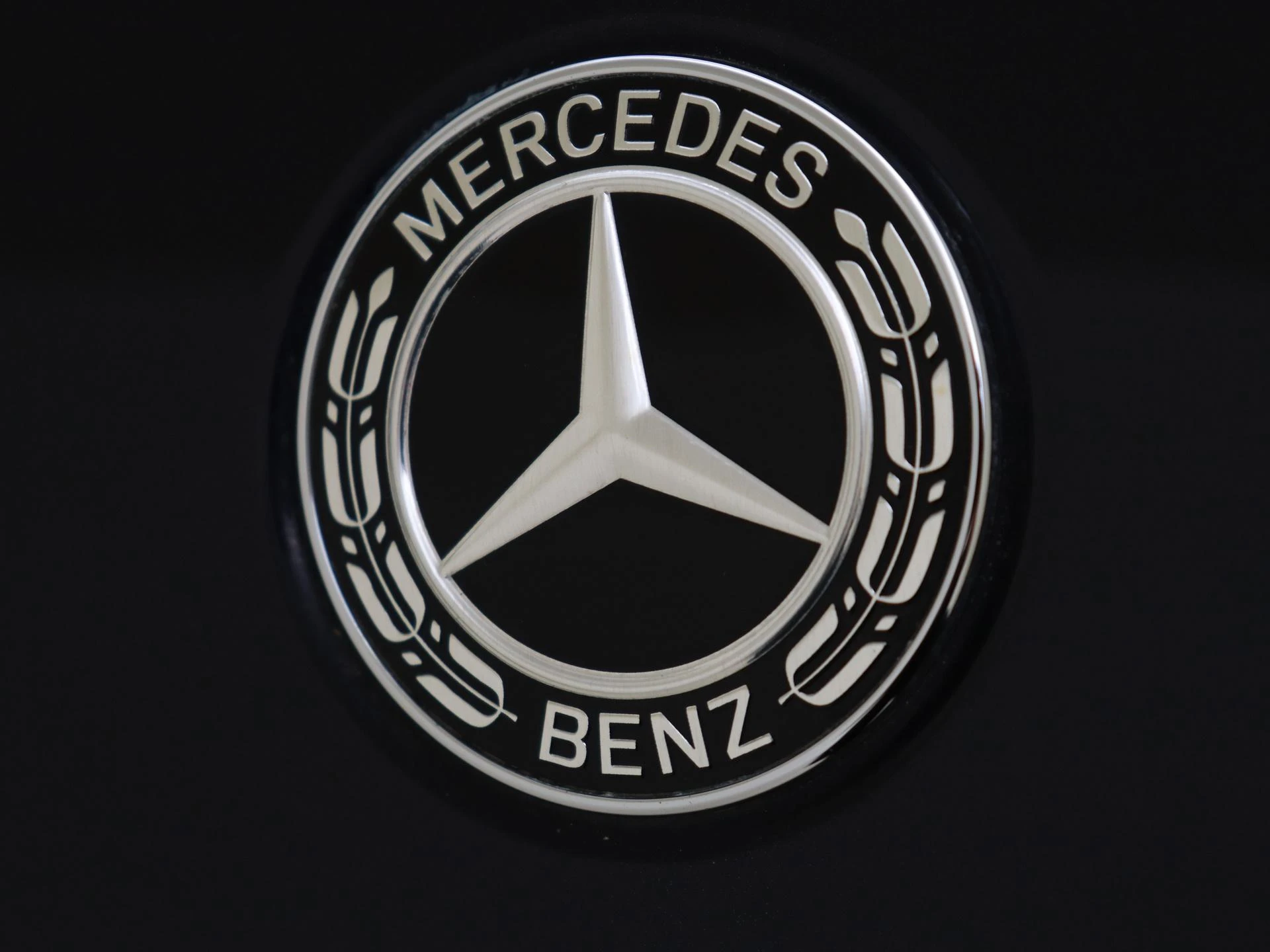Mercedes-Benz-EQC-image-29