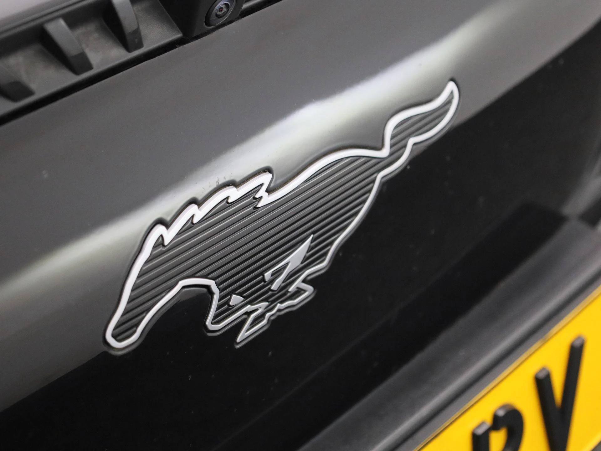 Ford-Mustang Mach-E-image-44