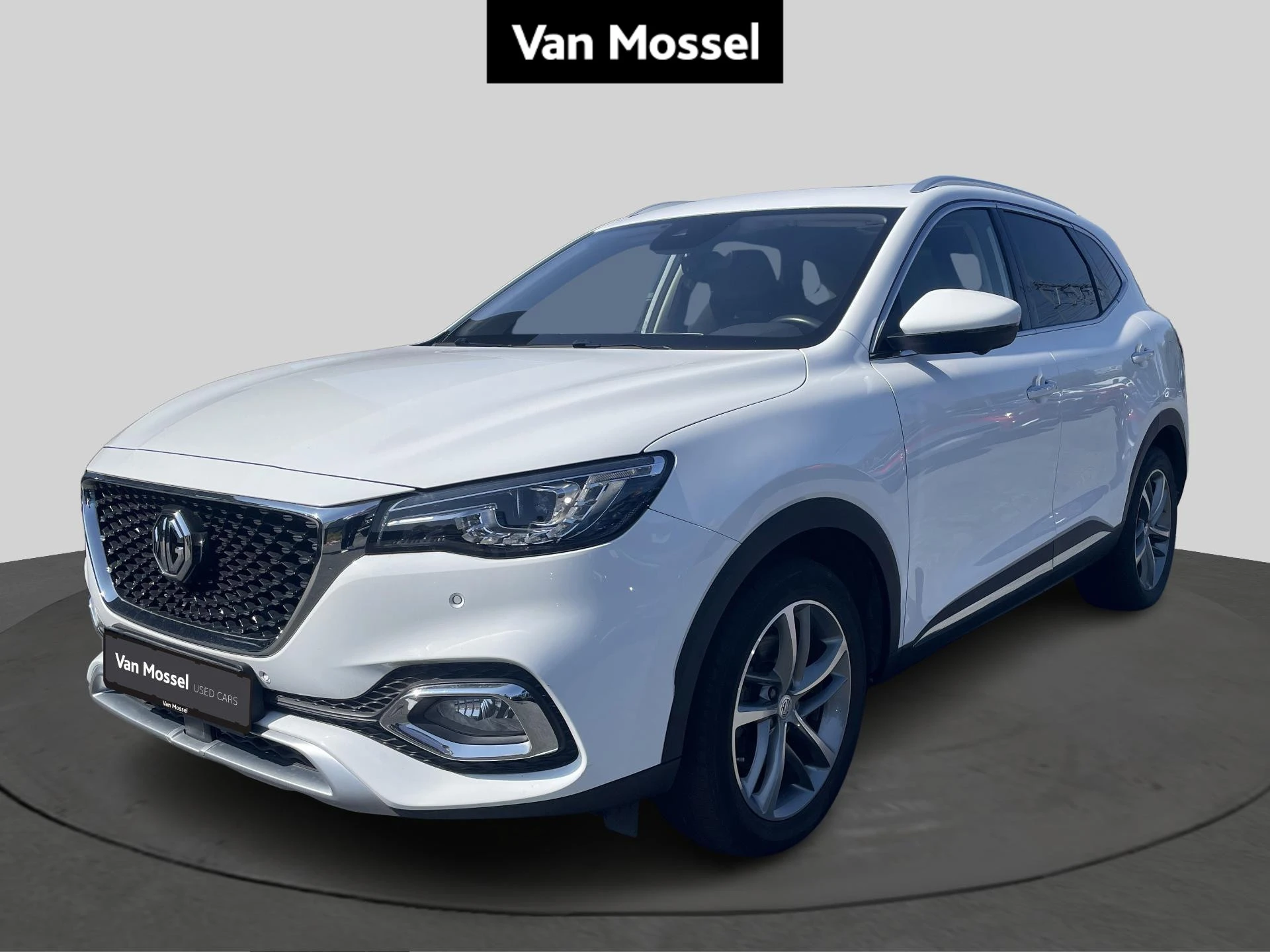 MG-EHS-image-0