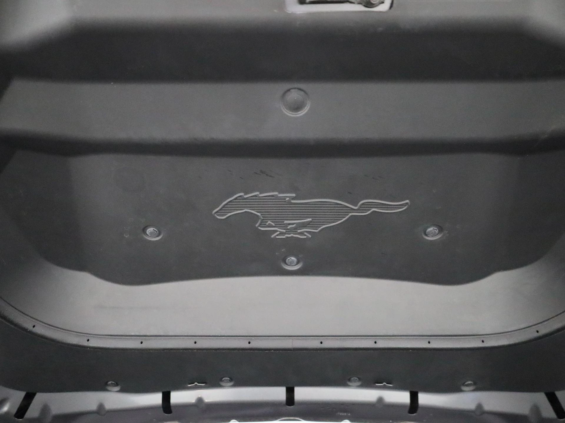 Ford-Mustang Mach-E-image-35