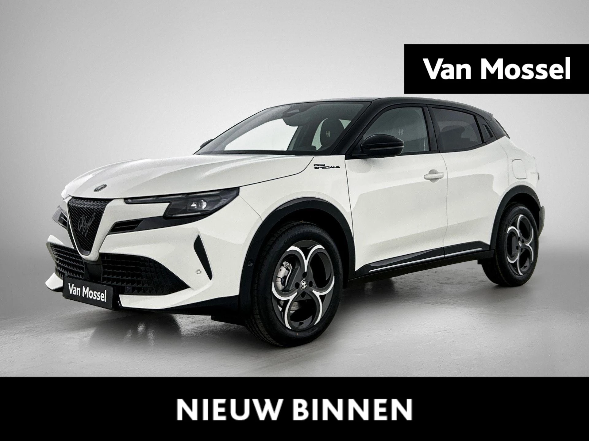 Alfa Romeo-Junior-image-0