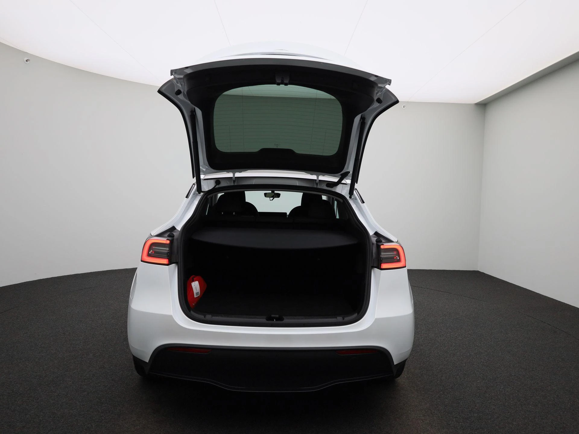 Tesla-Model Y-image-10