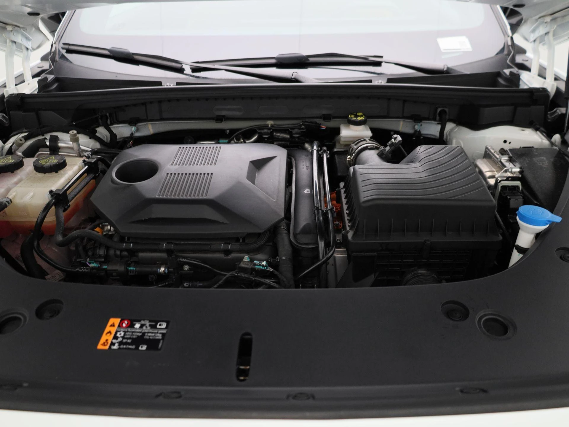 MG-HS-image-32