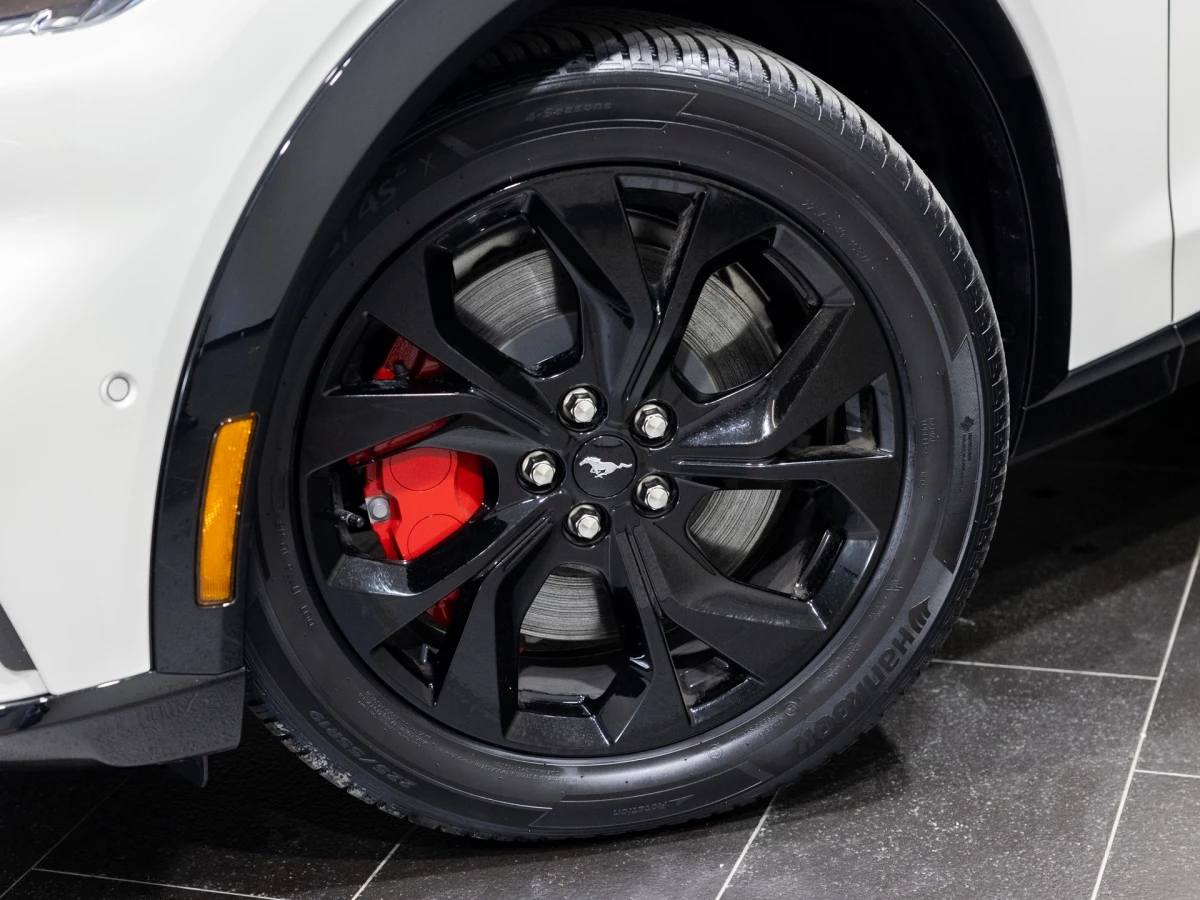 Ford-Mustang Mach-E-image-5