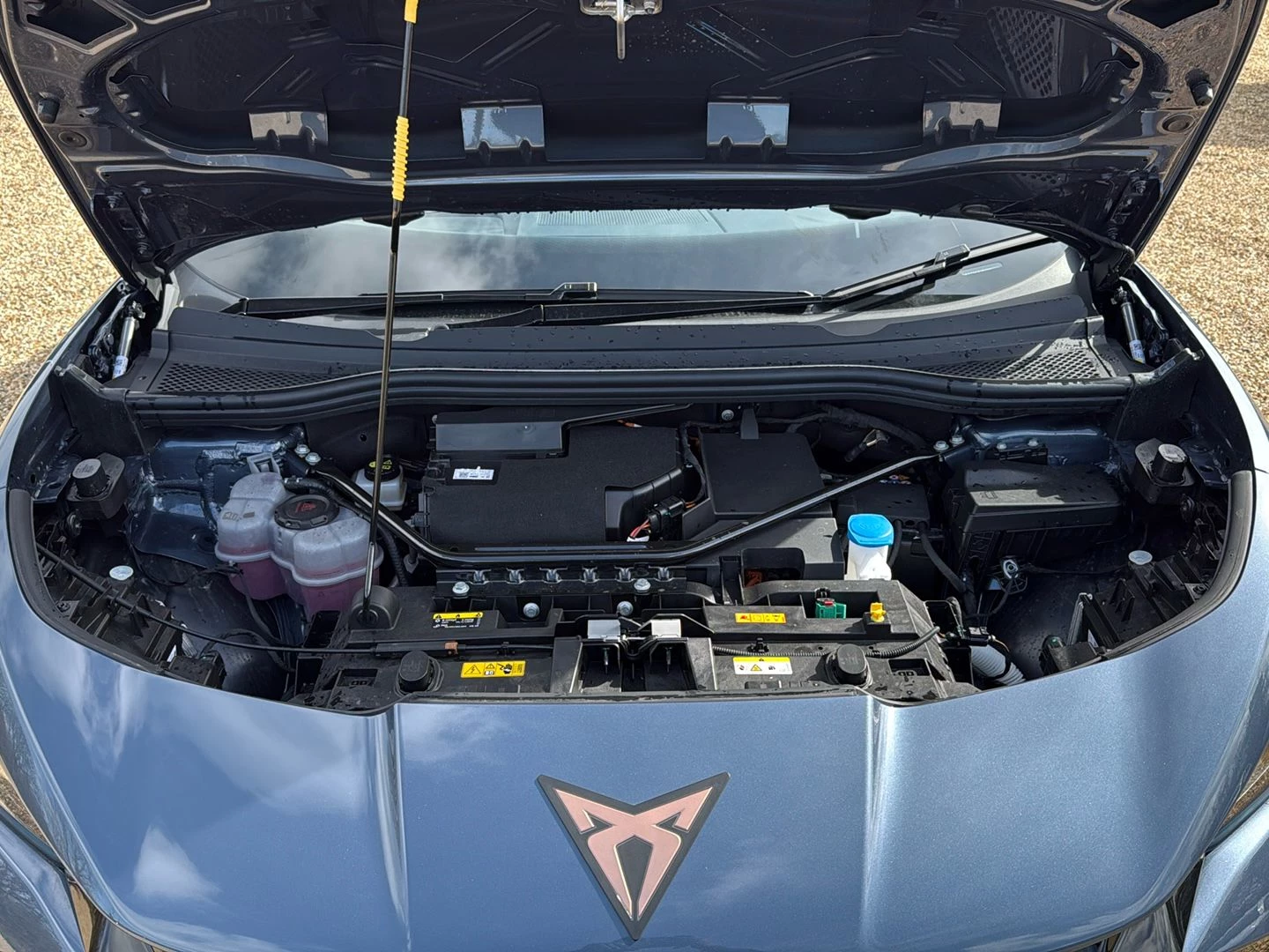 CUPRA-Tavascan-image-13