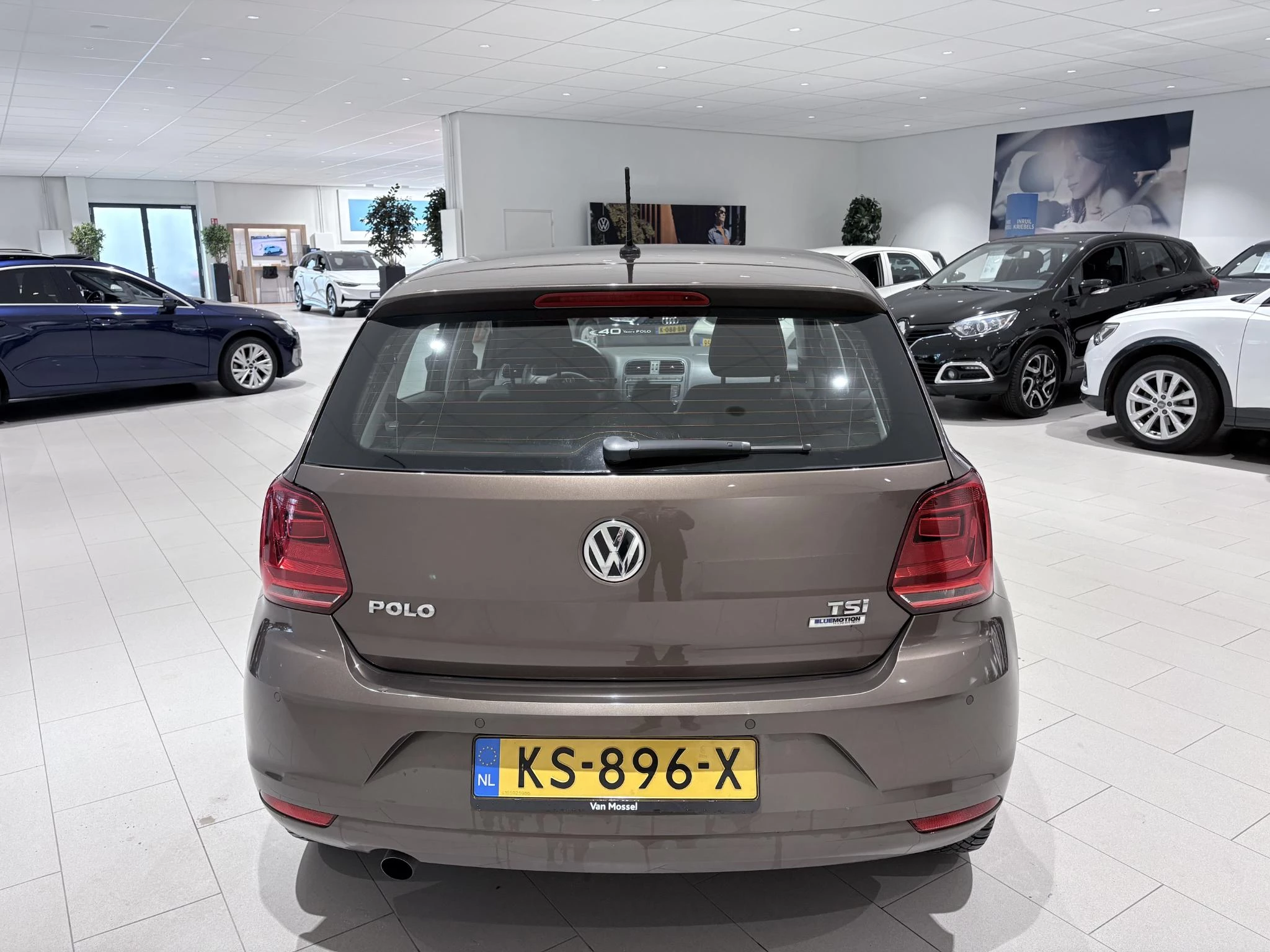 Volkswagen-Polo-image-3