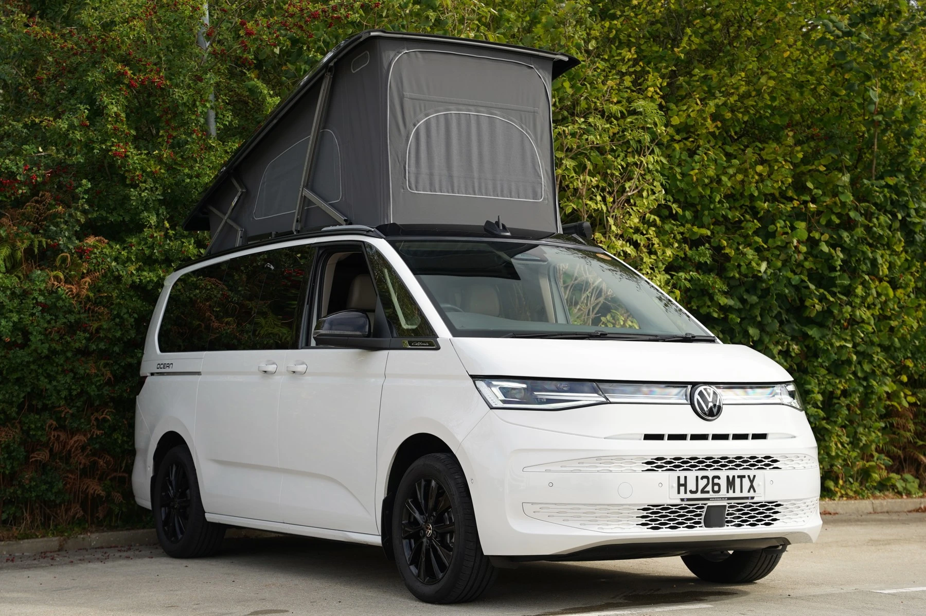 Volkswagen-California-image-45