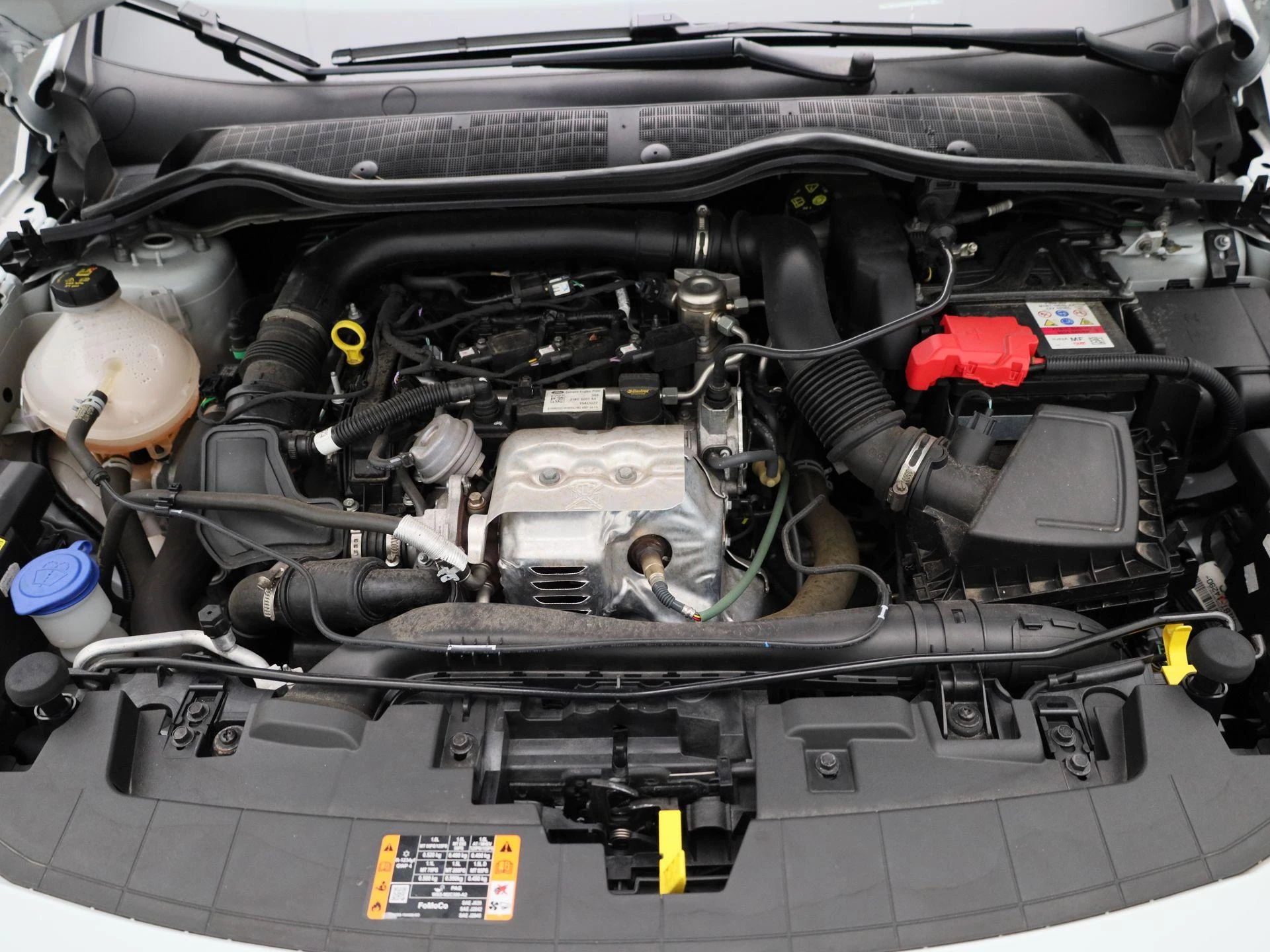 Ford-Fiesta-image-24