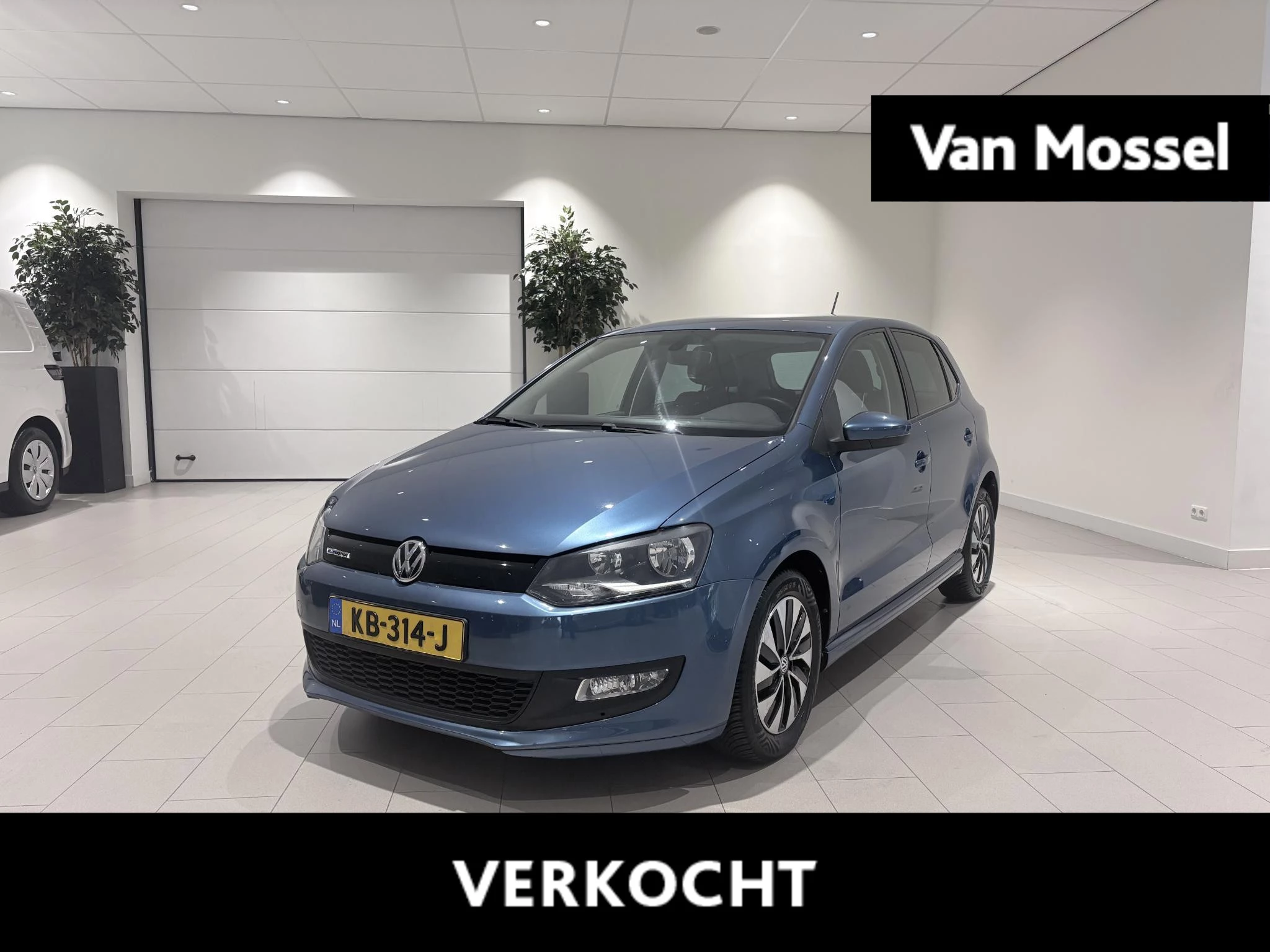 Volkswagen-Polo-image-0