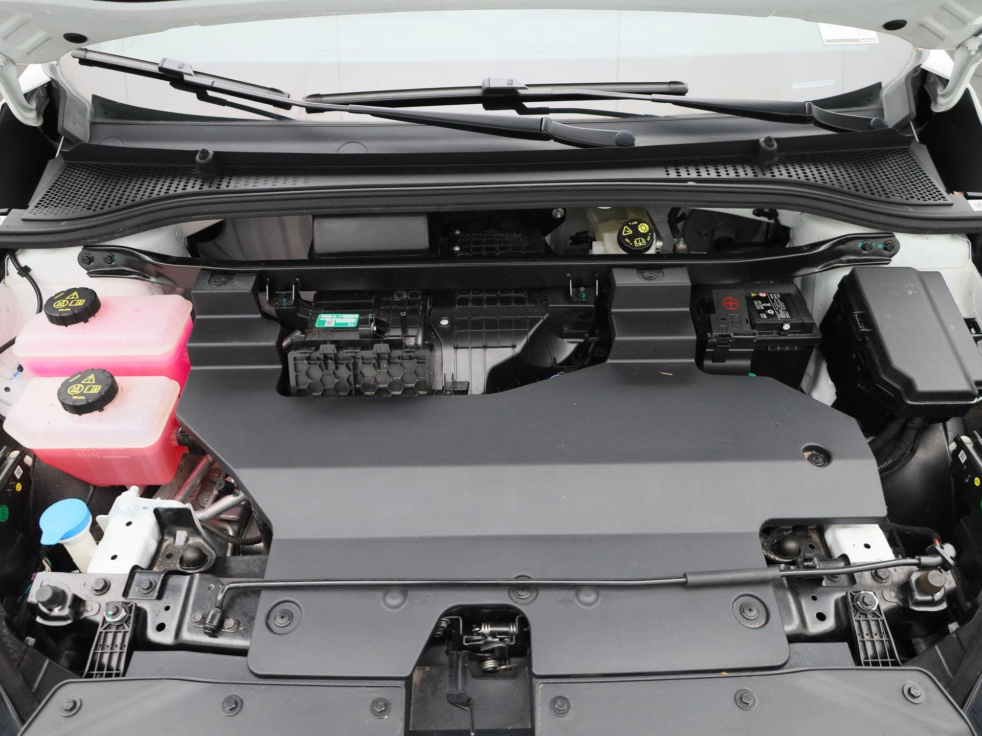 MG MG4 EV Electric Standard 51 kWh