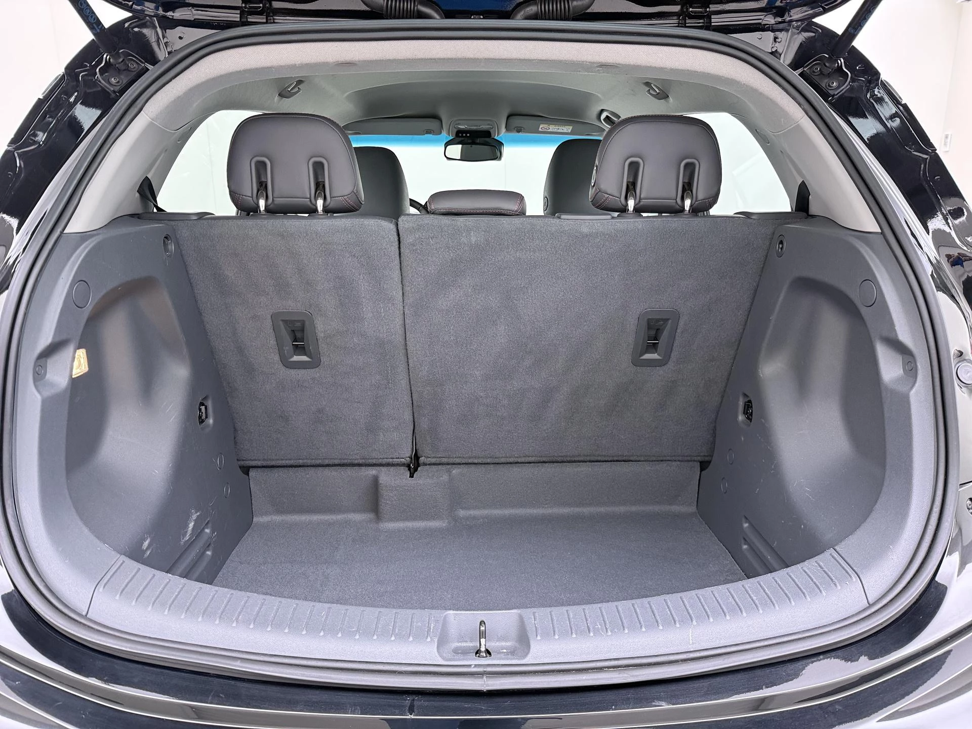 Opel Ampera-e Business executive 60 kWh