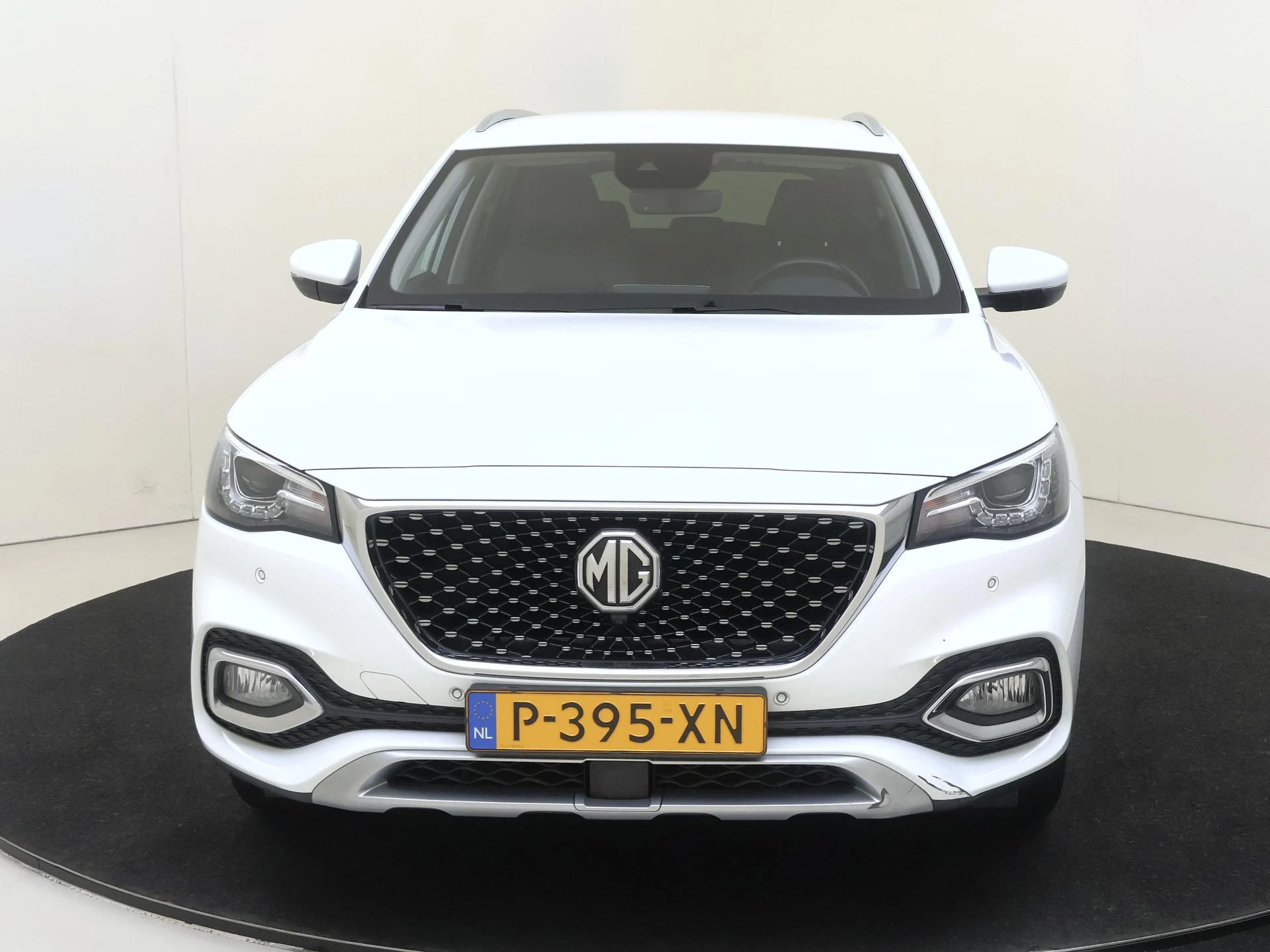 MG-EHS-image-5