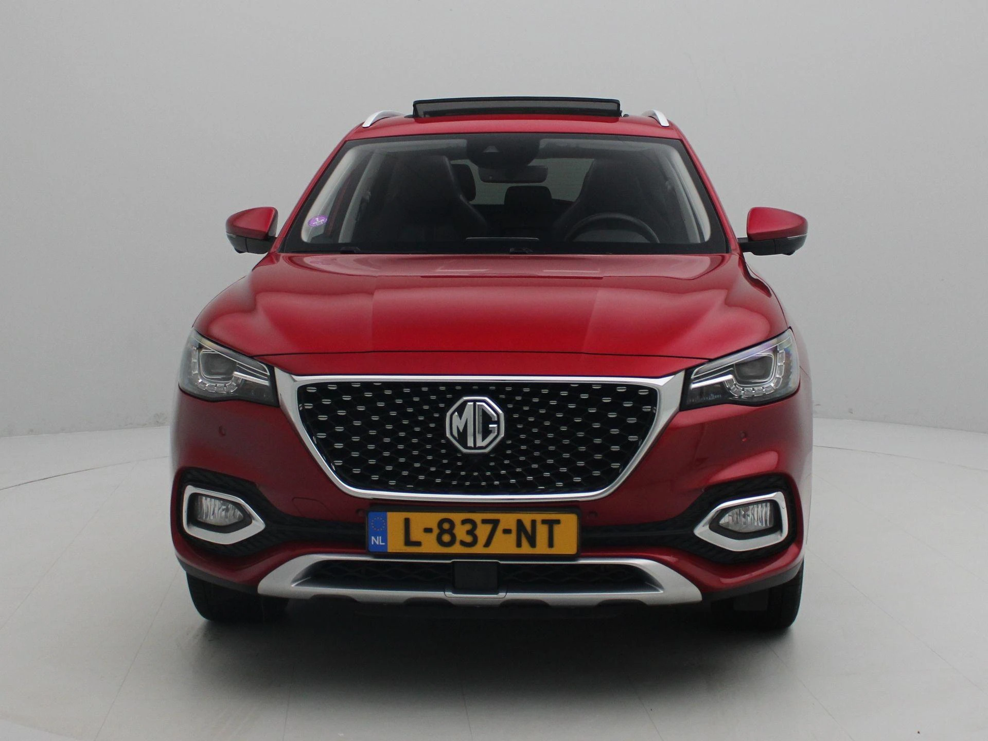 MG-EHS-image-2