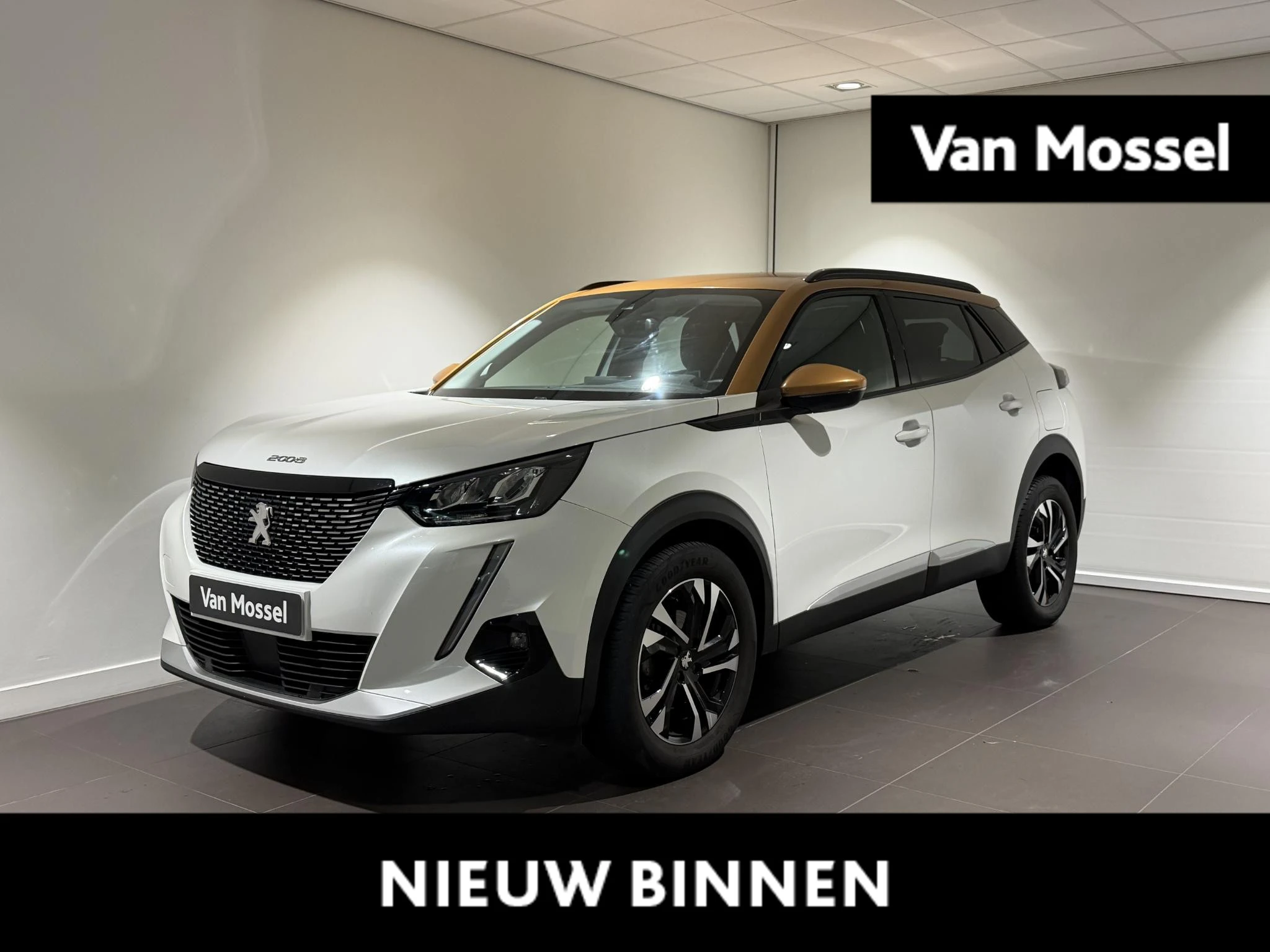 Peugeot-2008-image-0