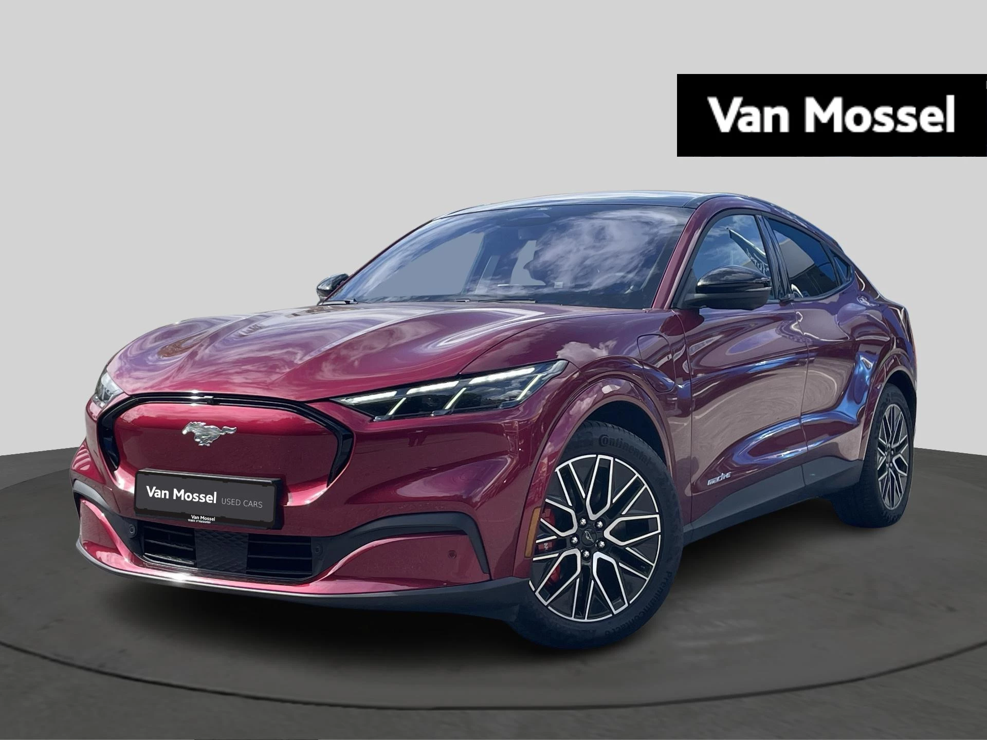 Ford-Mustang Mach-E-image-0