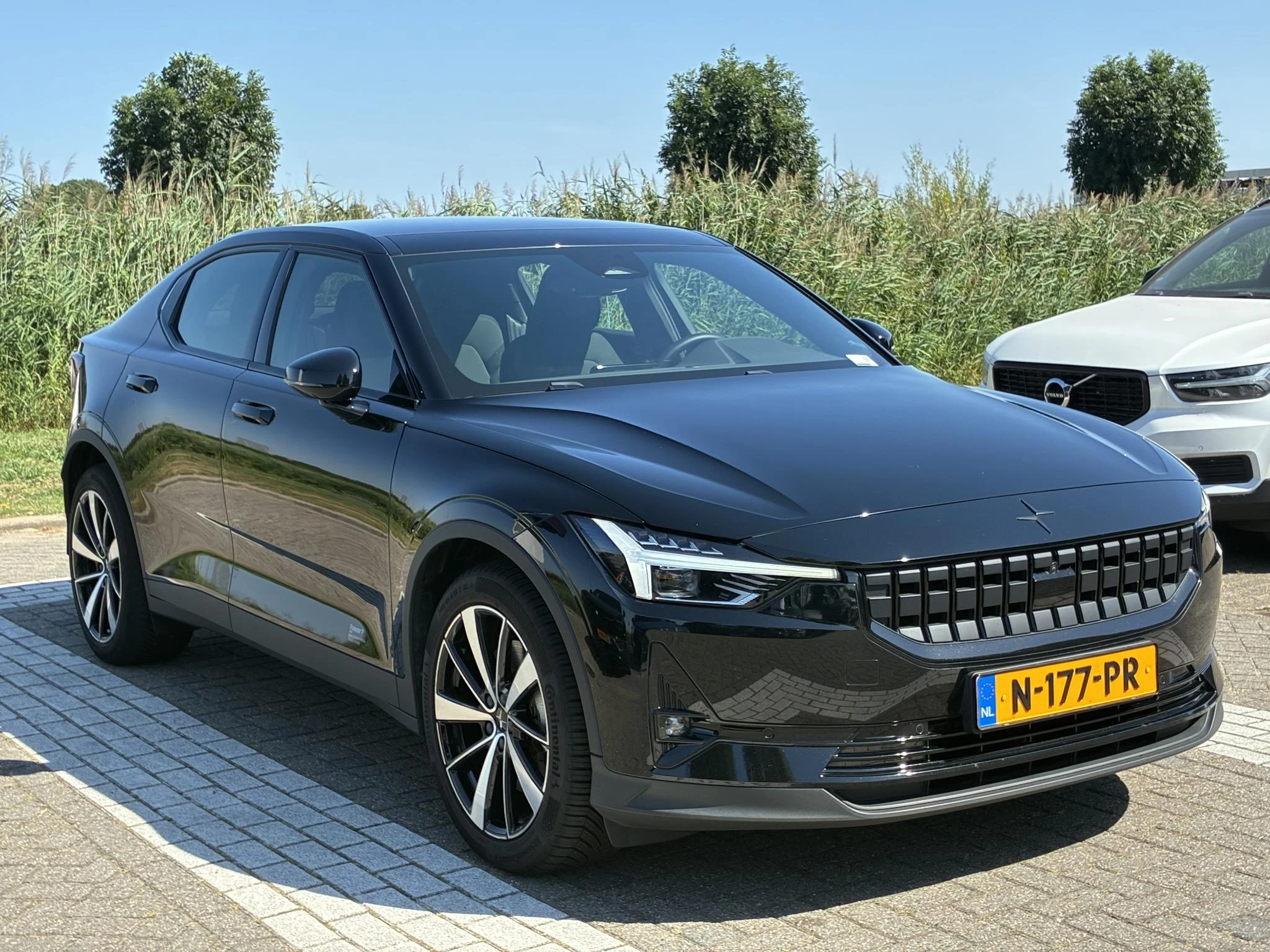 Polestar-2-image-8