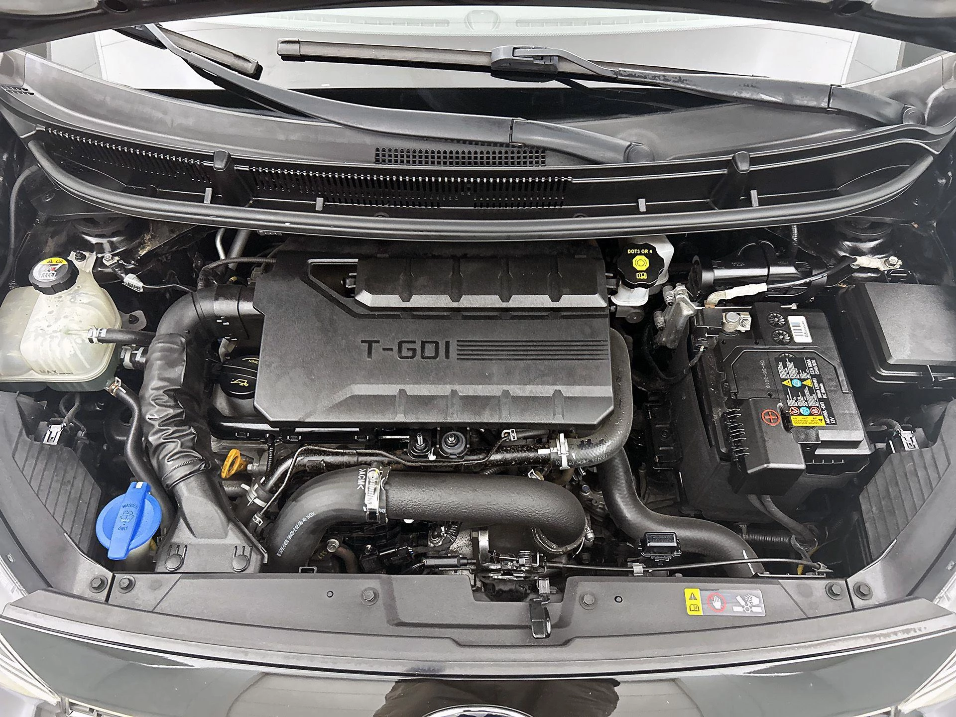 Kia-Picanto-image-9