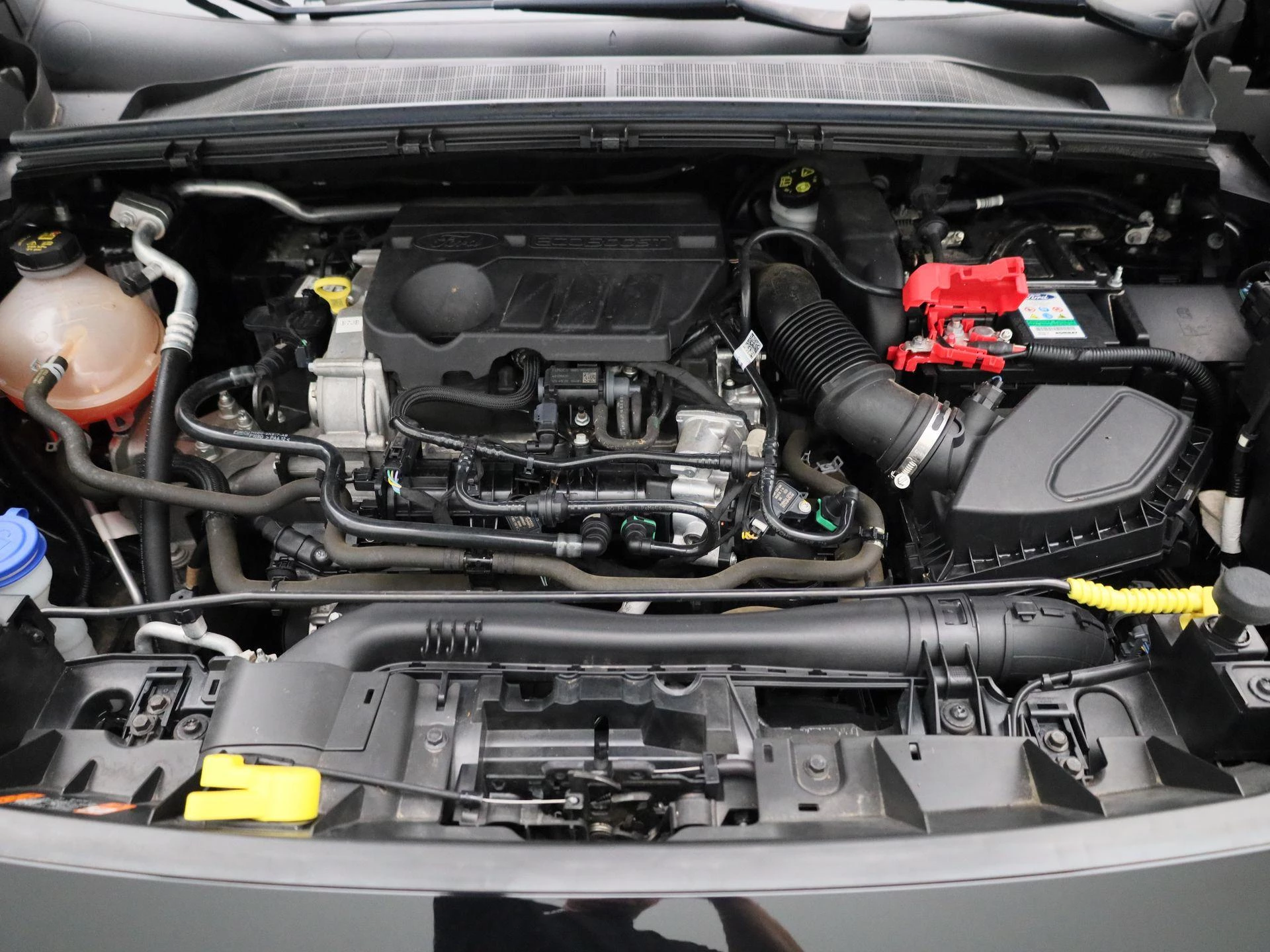 Ford-Puma-image-31