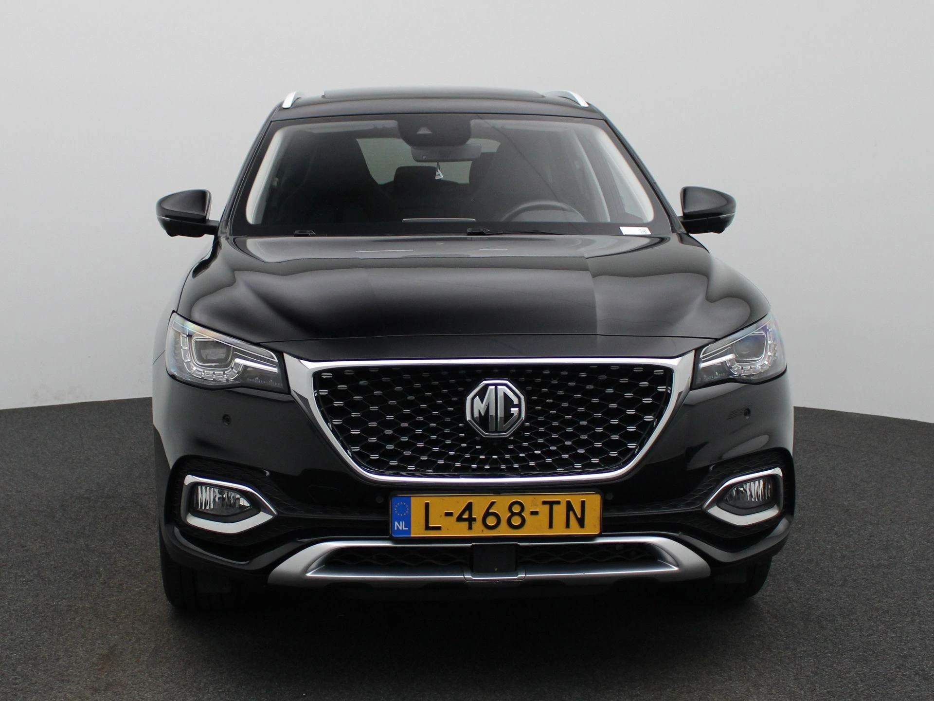 MG-EHS-image-2