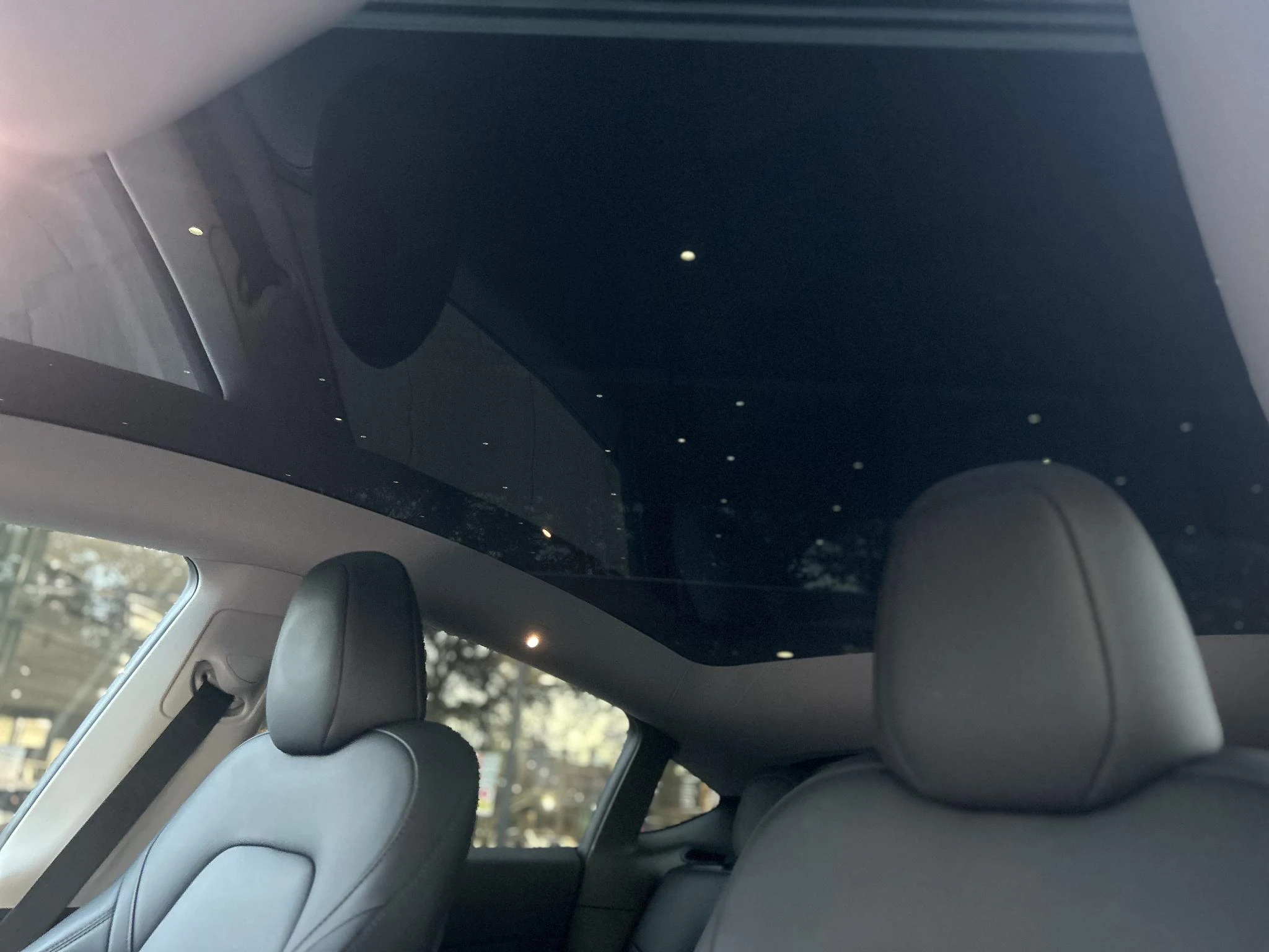 Tesla-Model Y-image-4