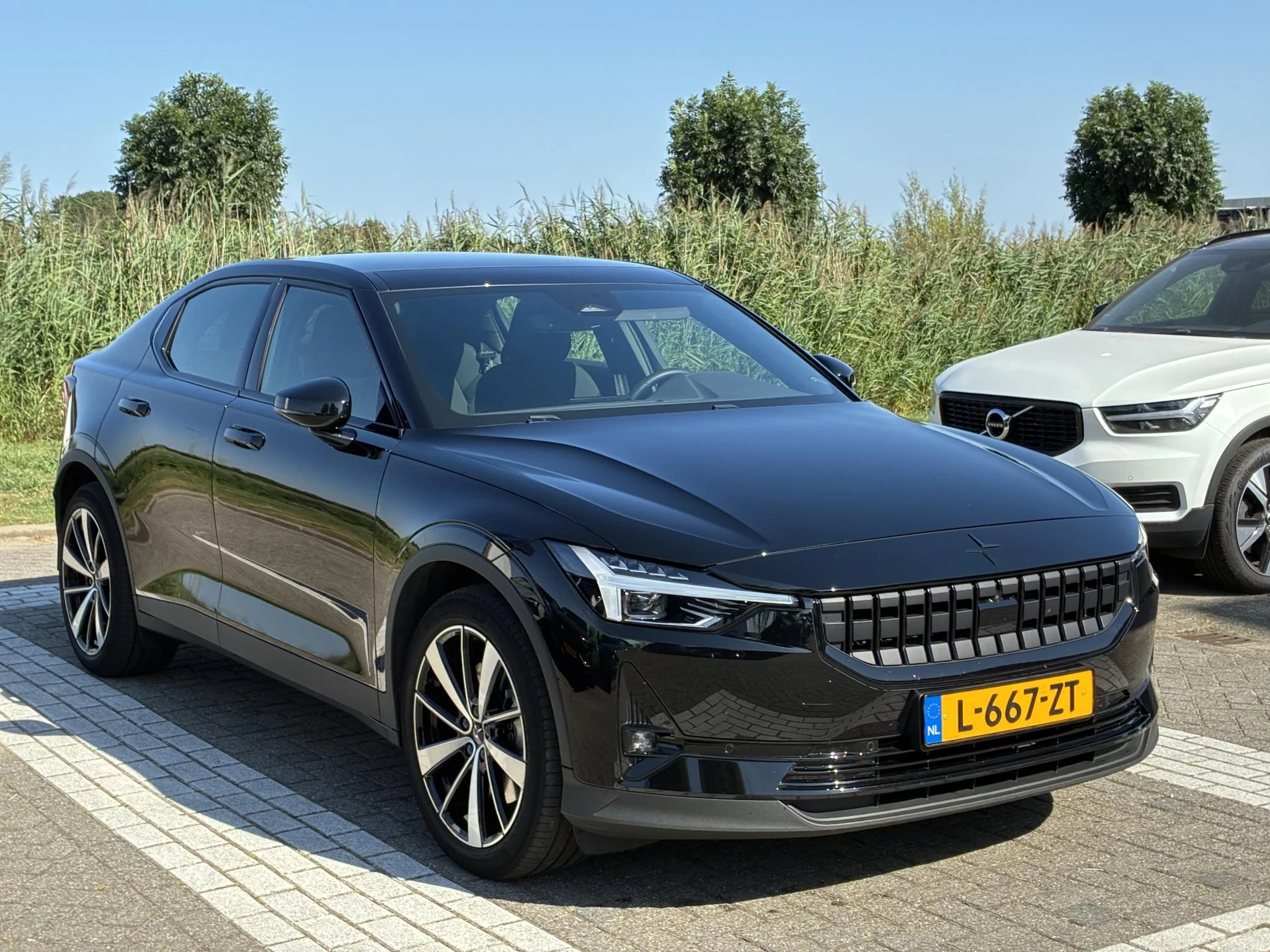 Polestar-2-image-7