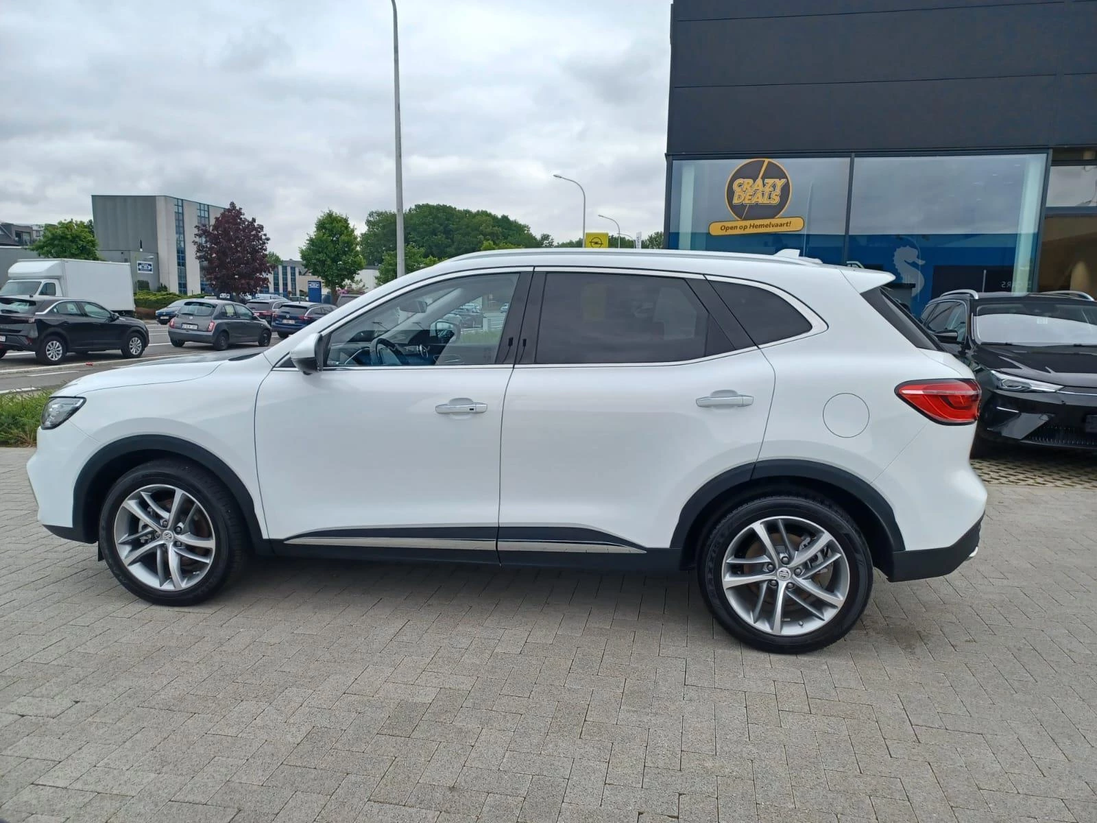 MG-EHS-image-8