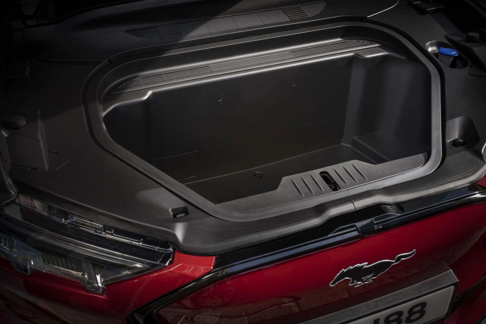 Ford-Mustang Mach-E-image-13