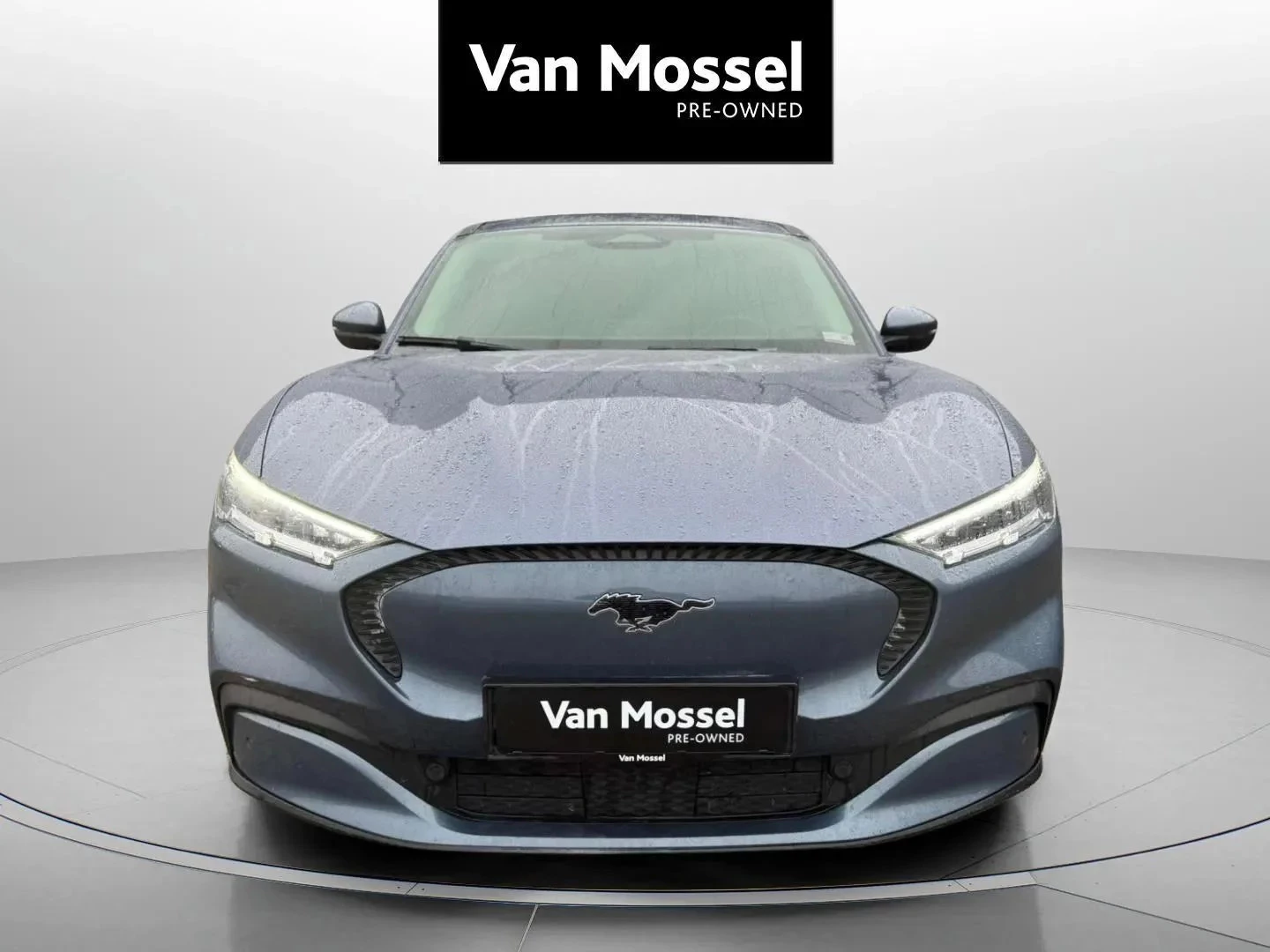 Ford-Mustang Mach-E-image-1