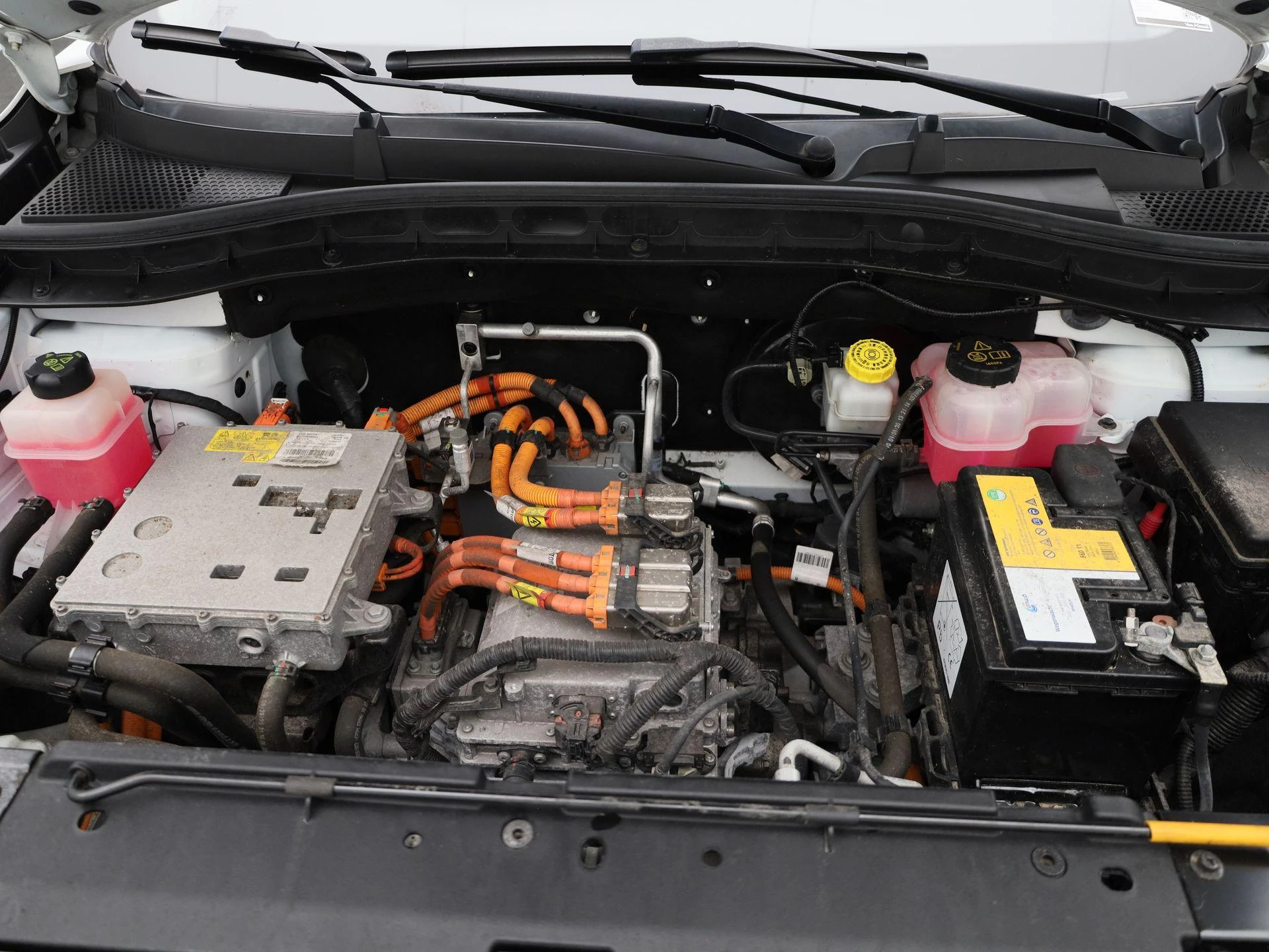 MG-ZS EV-image-43