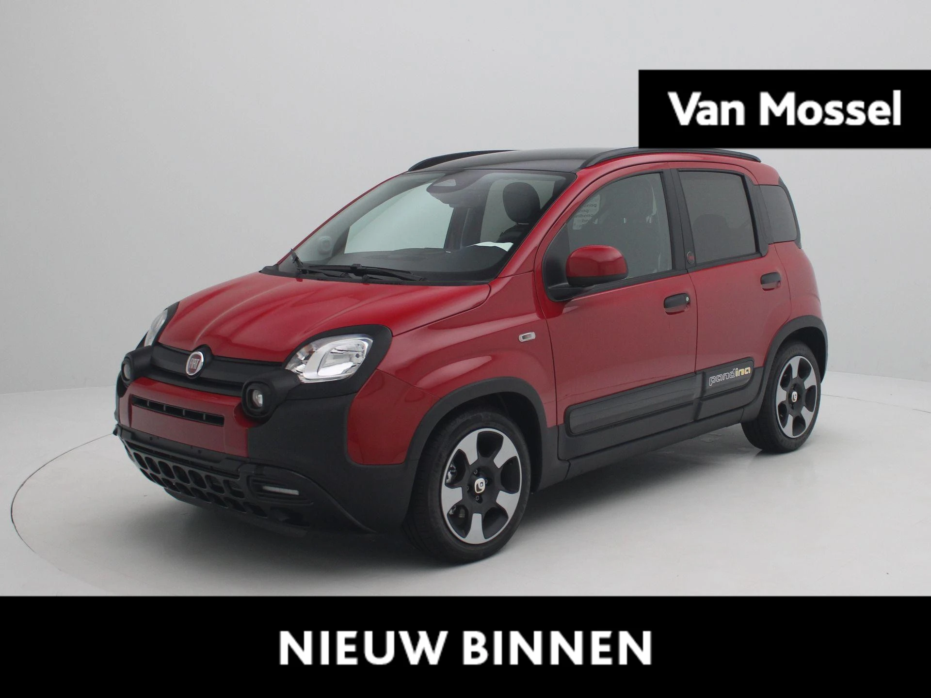 Fiat-Panda-image-0