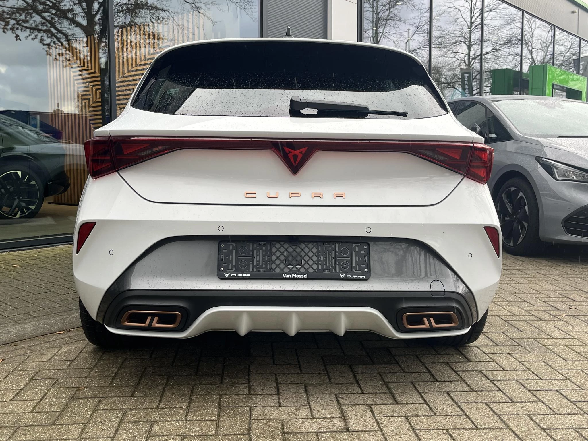 Cupra León