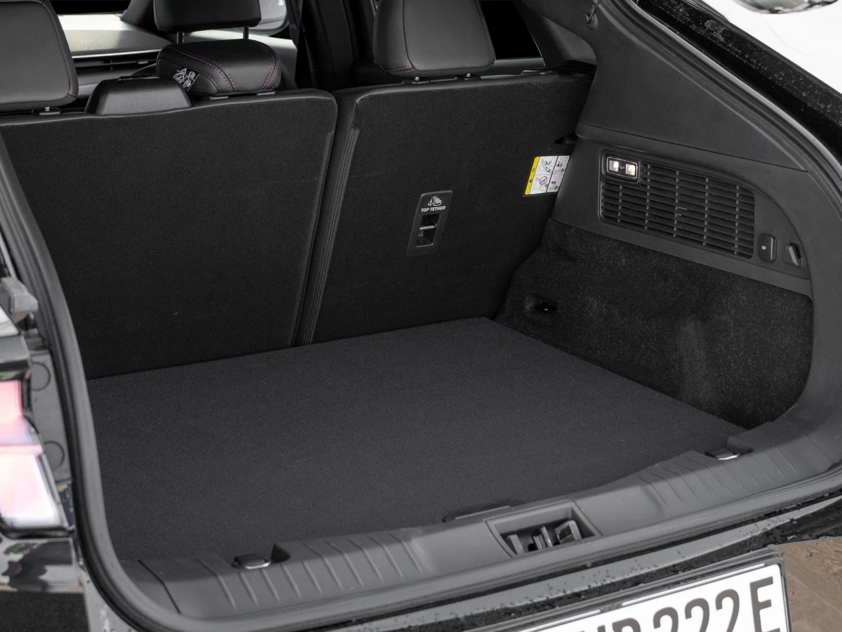 Ford-Mustang Mach-E-image-7