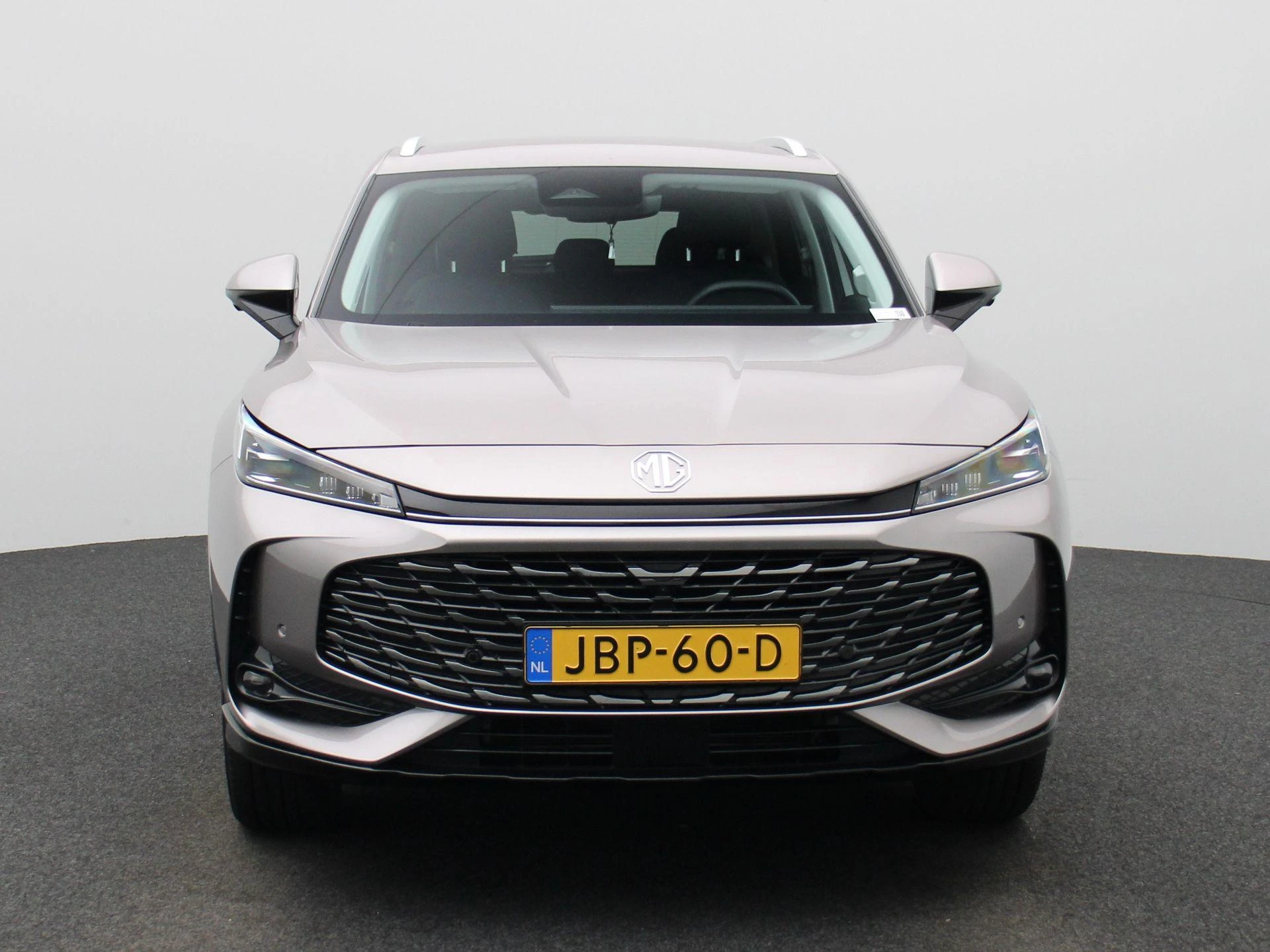 MG-HS-image-2