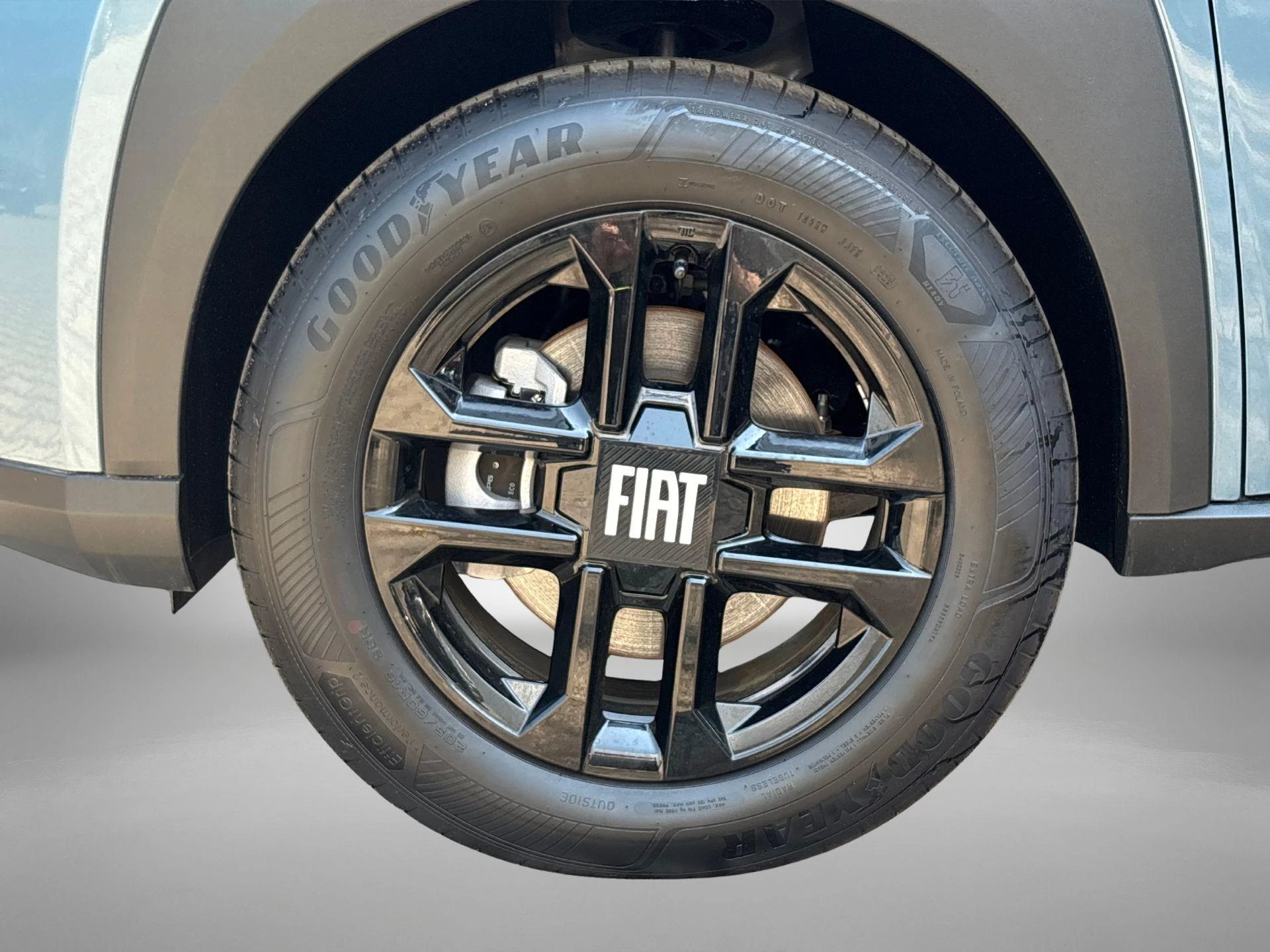 Fiat-Grande Panda-image-24