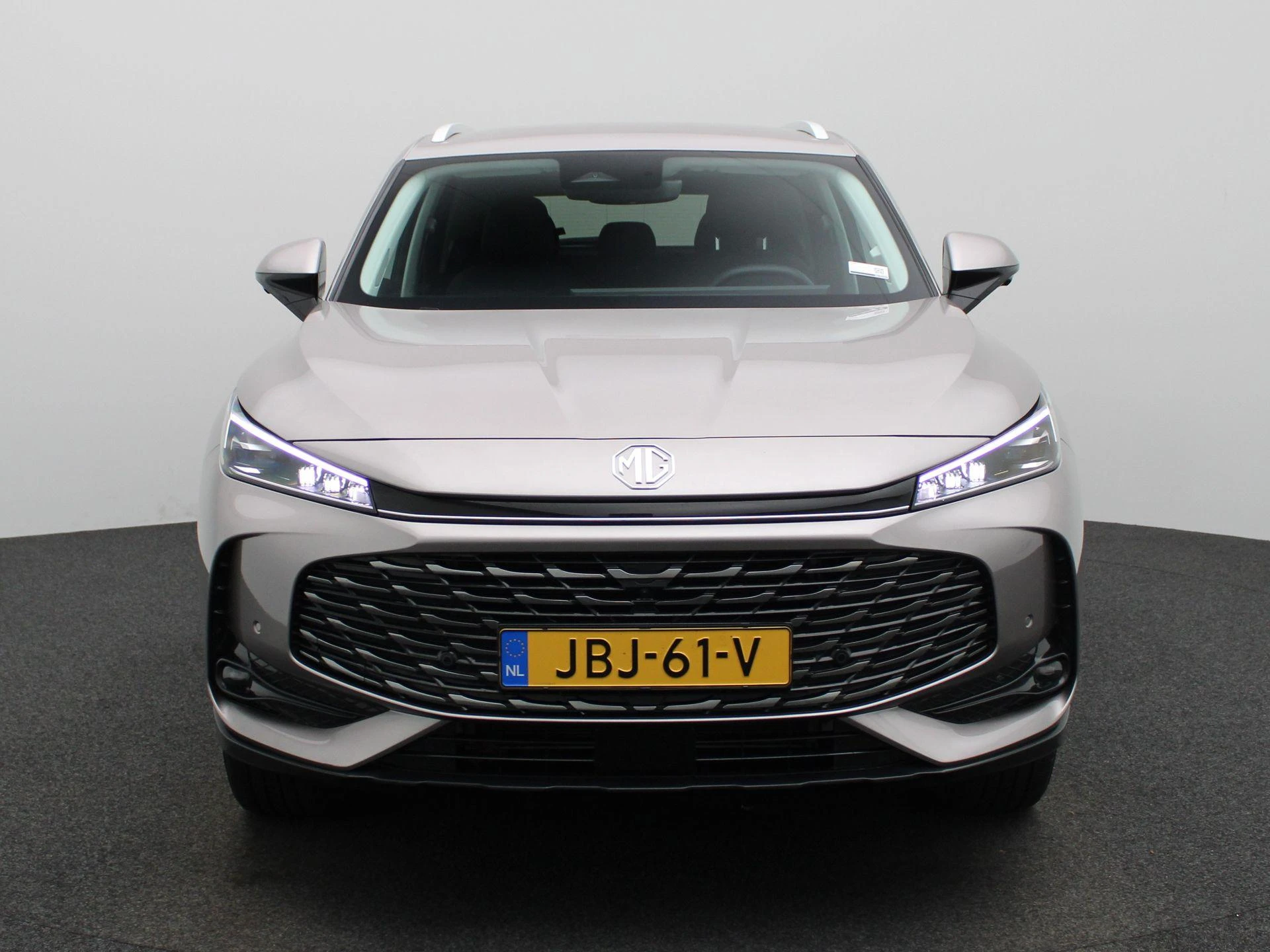 MG-HS-image-3