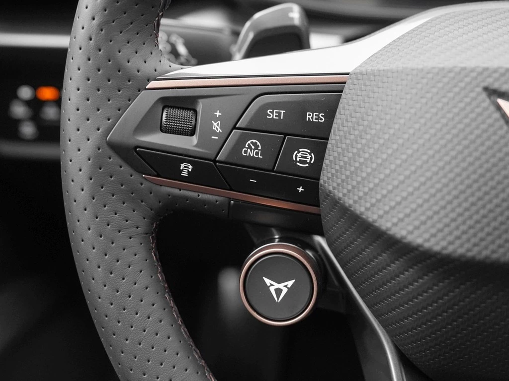 CUPRA Formentor VZ 2.0TSI 245kW/333PS 7-Gang-DSG 4Drive CAL