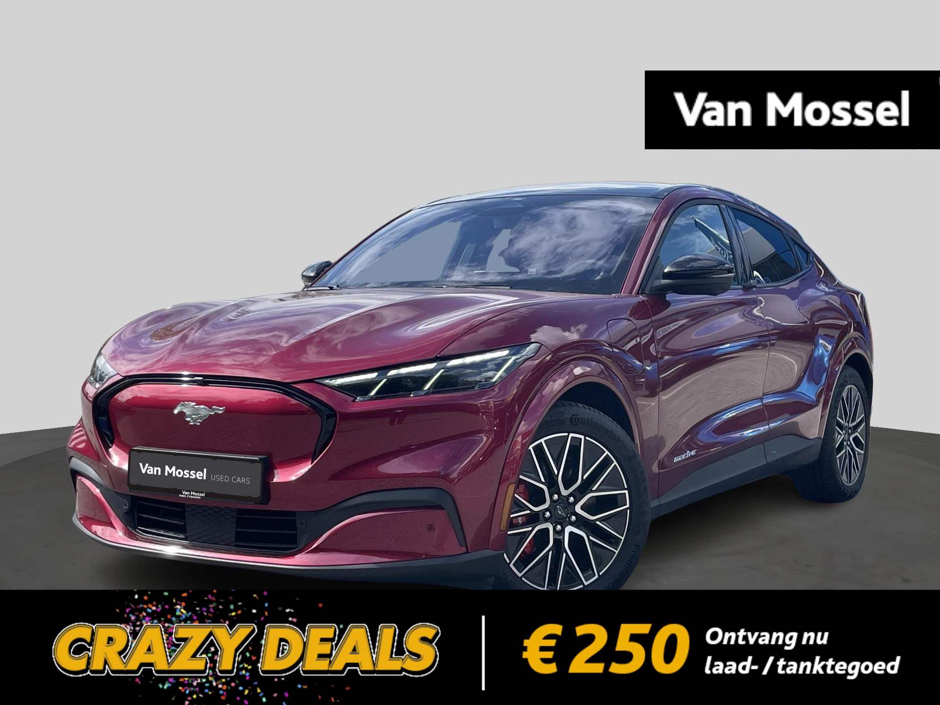 Ford-Mustang Mach-E-image-0