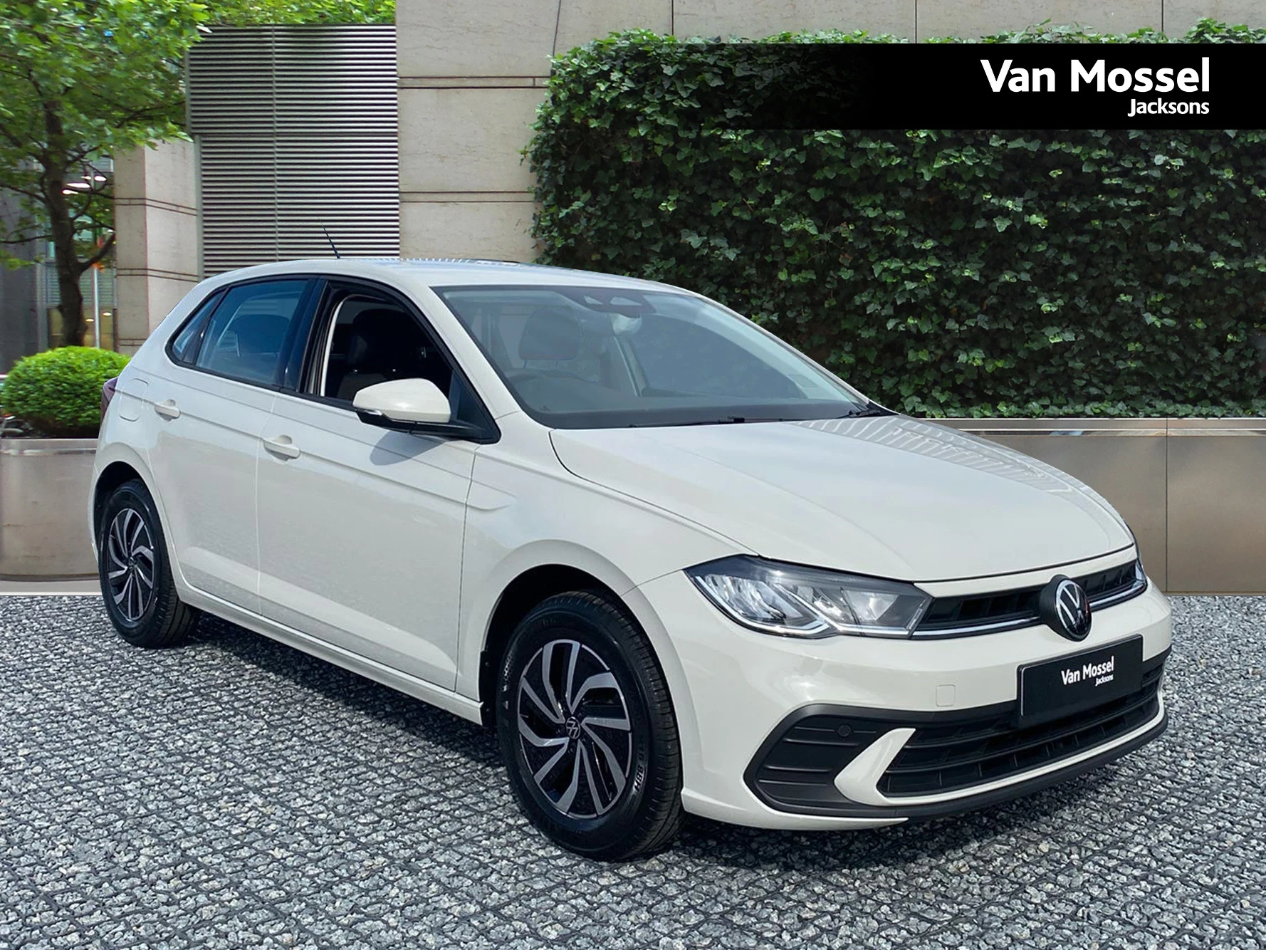 Volkswagen Polo Used Car