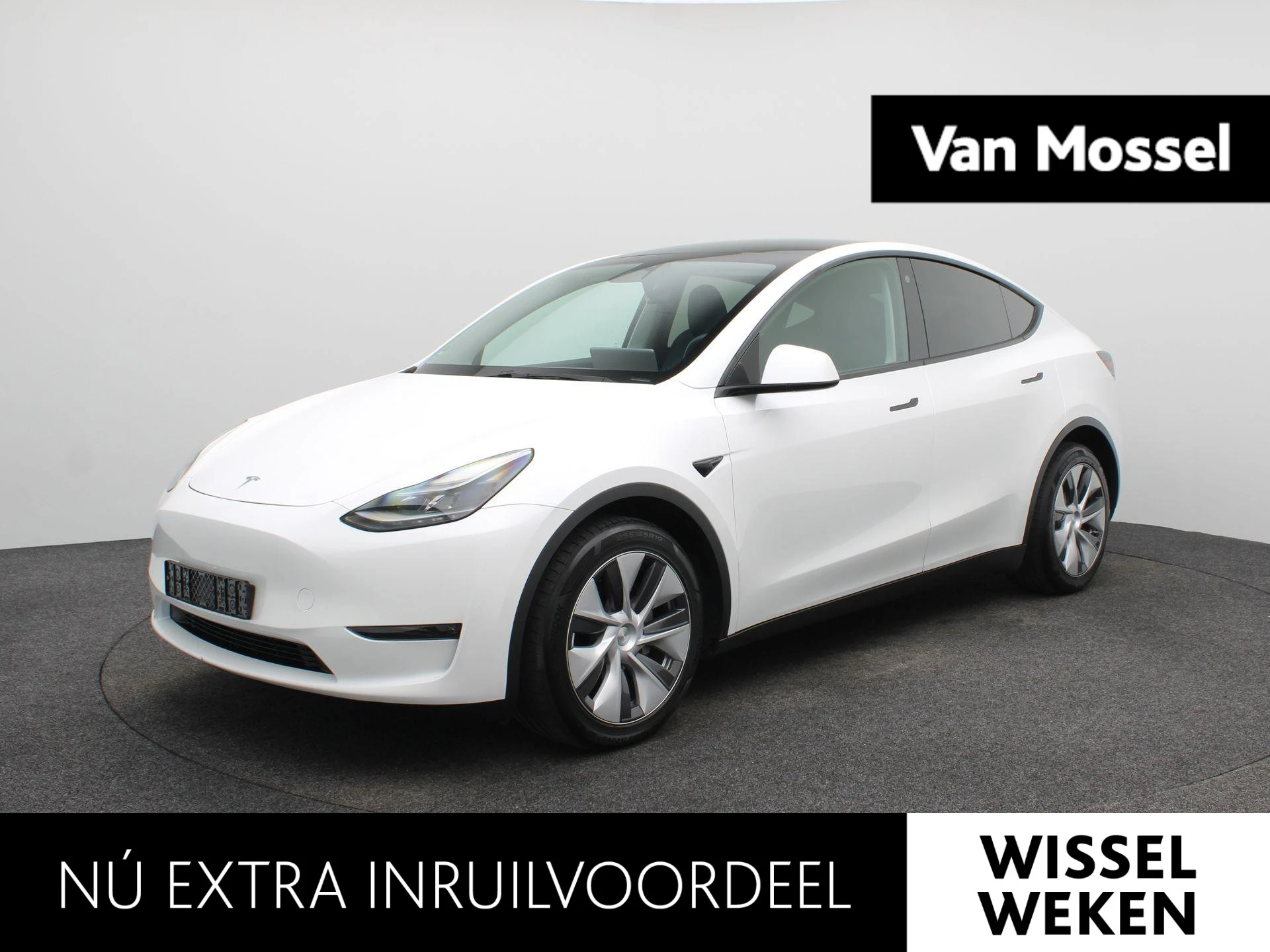 Tesla-Model Y-image-0