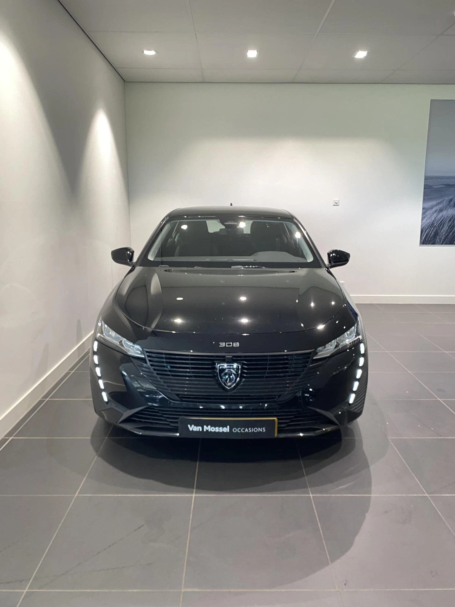 Peugeot 308 Active Pack Business