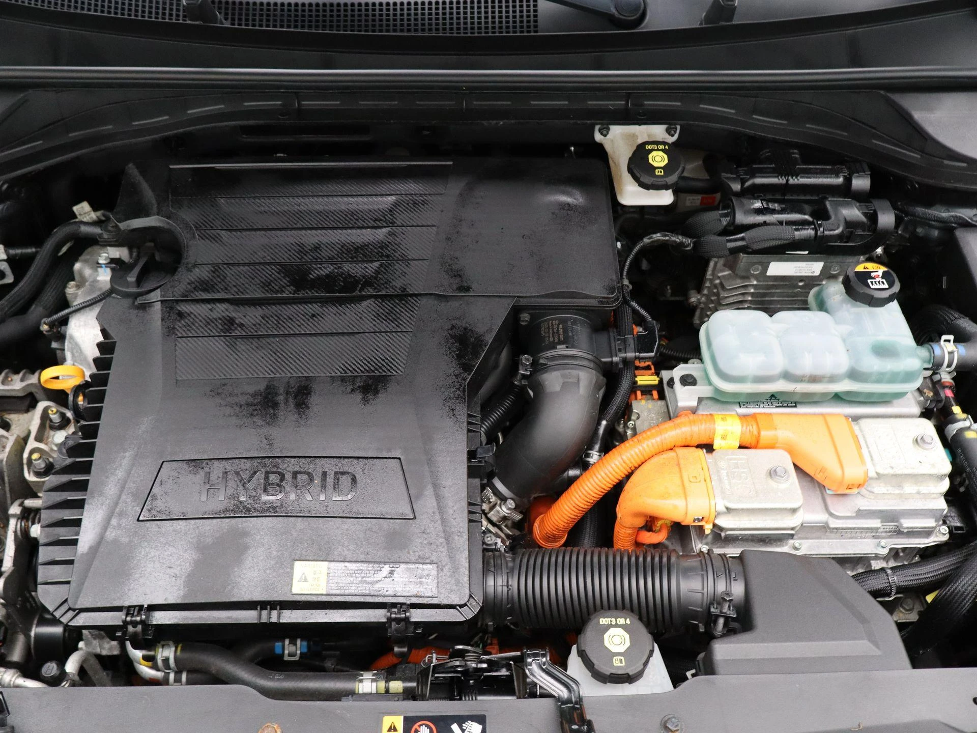 Kia-Niro-image-35