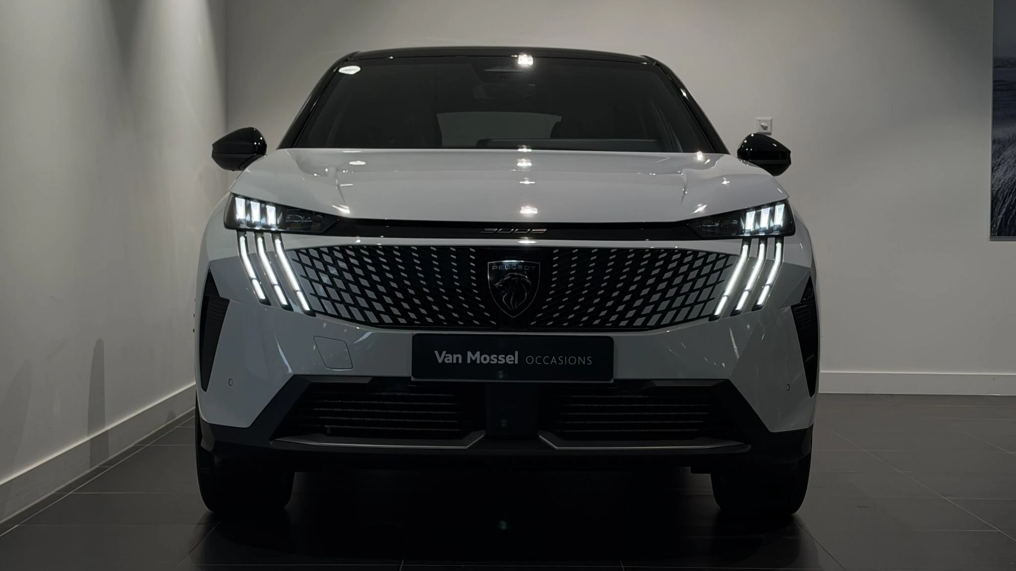 Peugeot-3008-image-1
