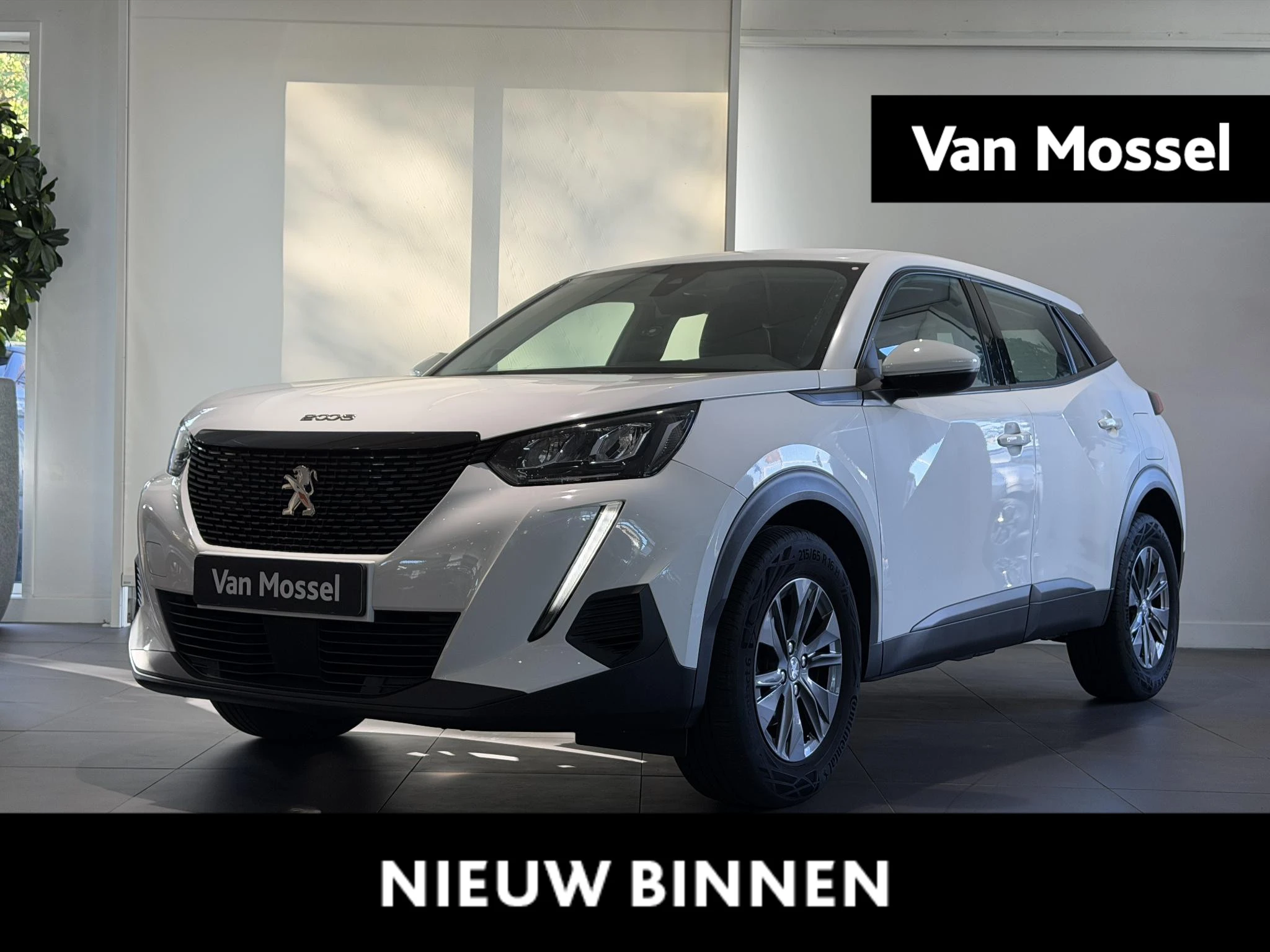 Peugeot-2008-image-0